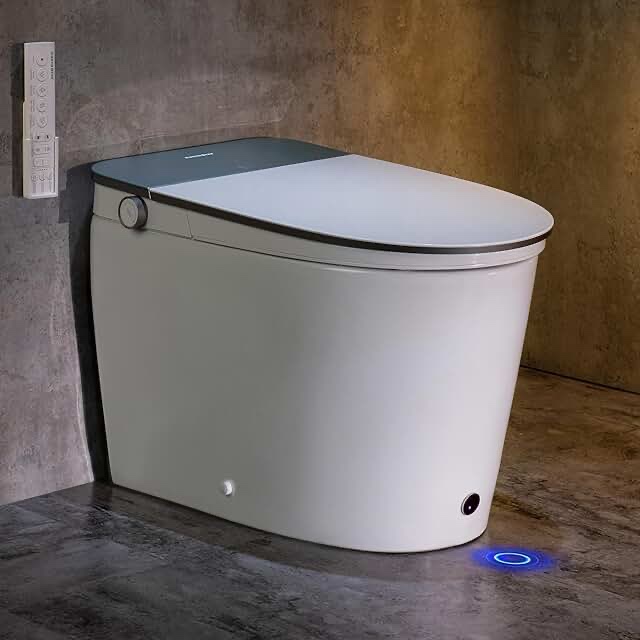 Smart Toilet