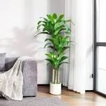 Artificial Tree Dracaena 