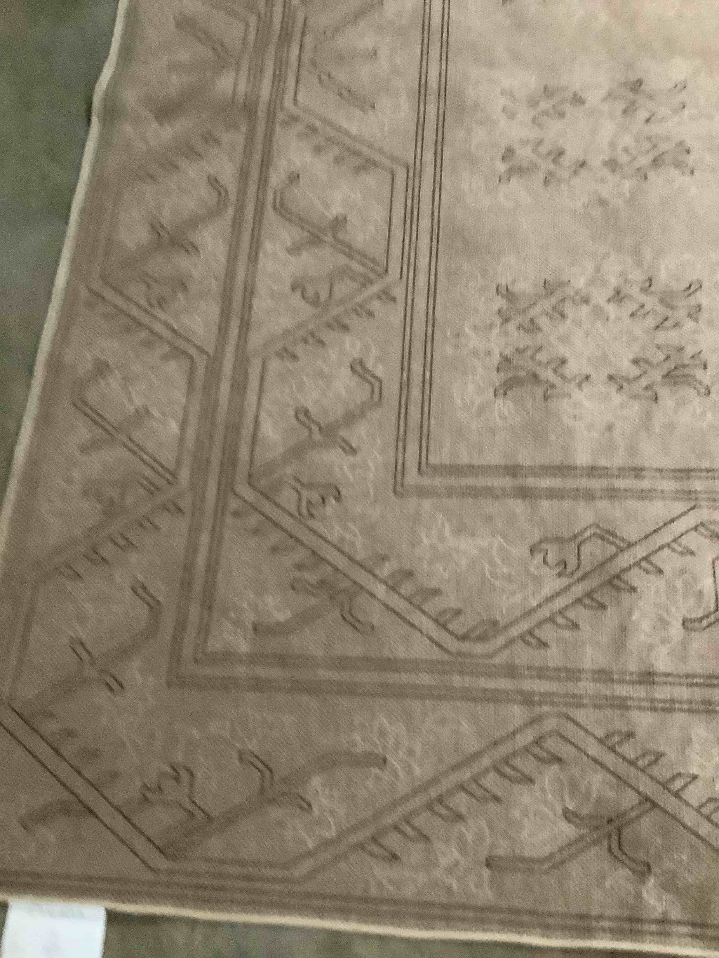 Condition photo showing Good Condition for Jute Machine Woven Rectangle Area Rug 8’x10’