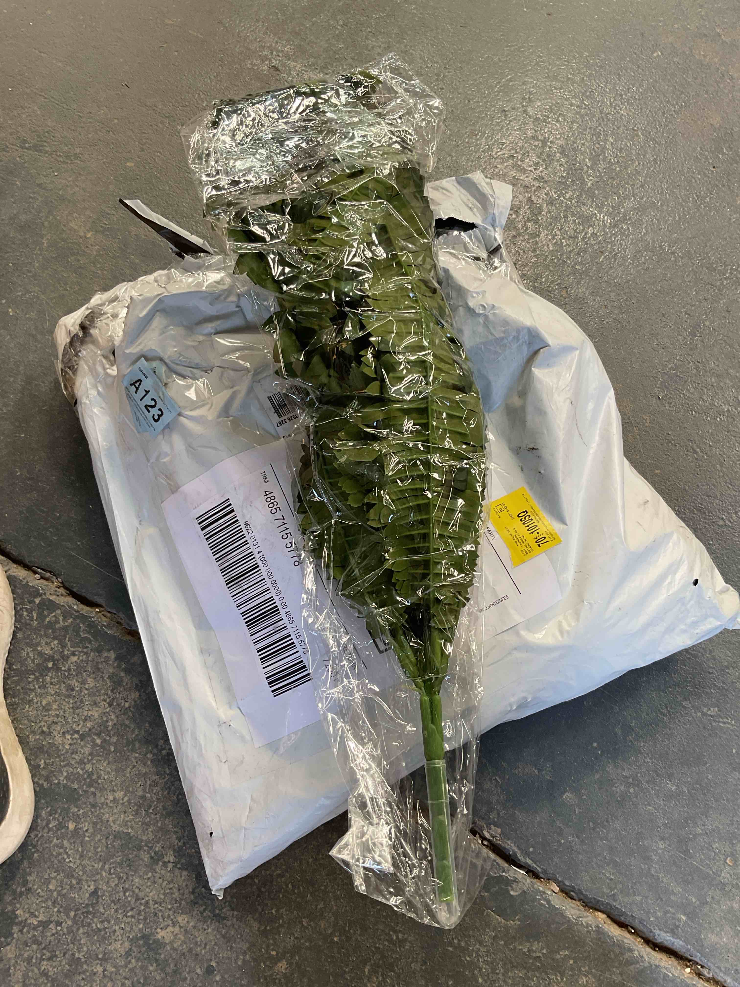 Condition photo showing Good Condition for artificial ferns