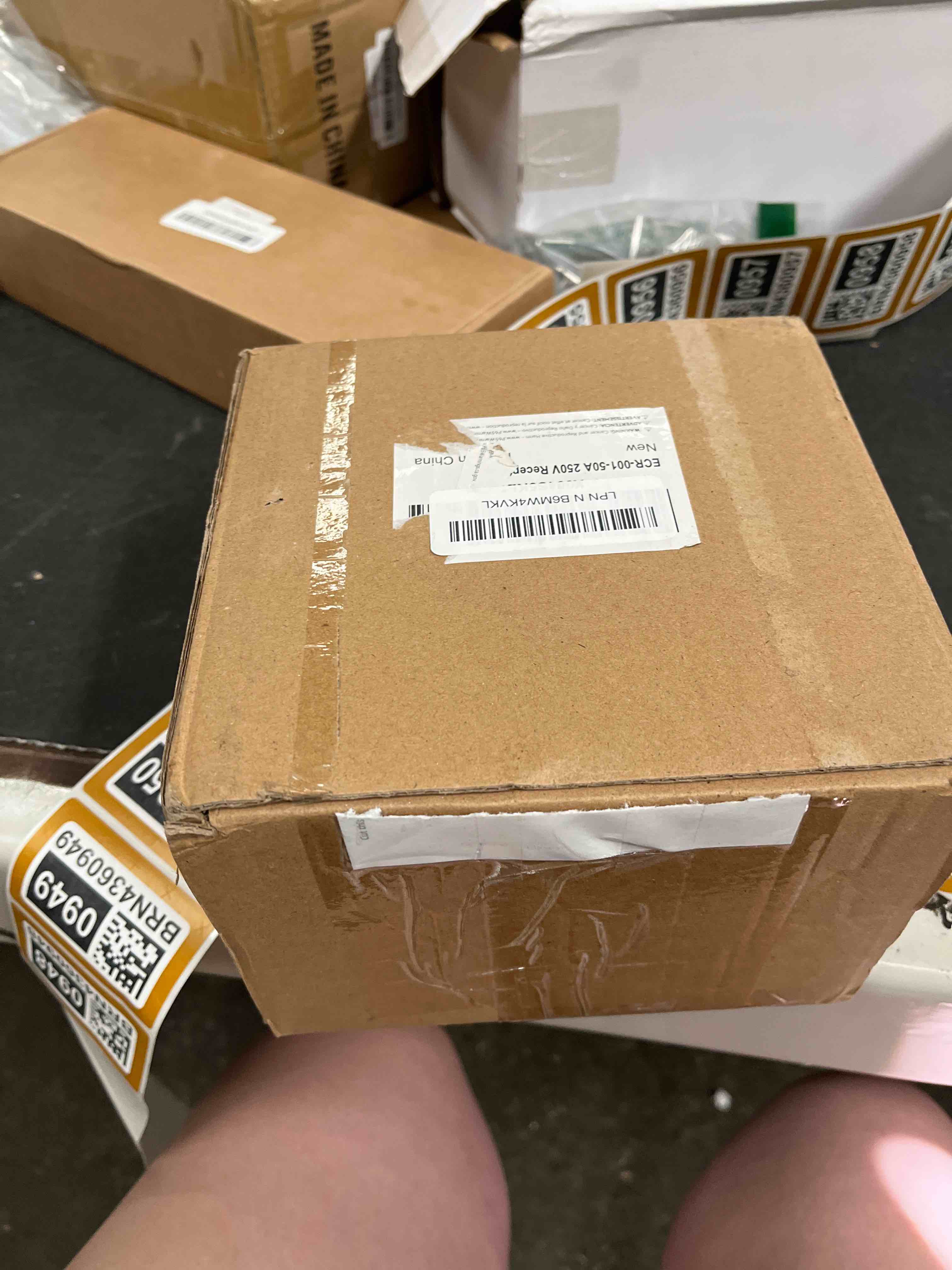 https://s3.amazonaws.com/lotting-images-prod/RustDustWanderlust/BRN4360948_1774899046656.jpeg