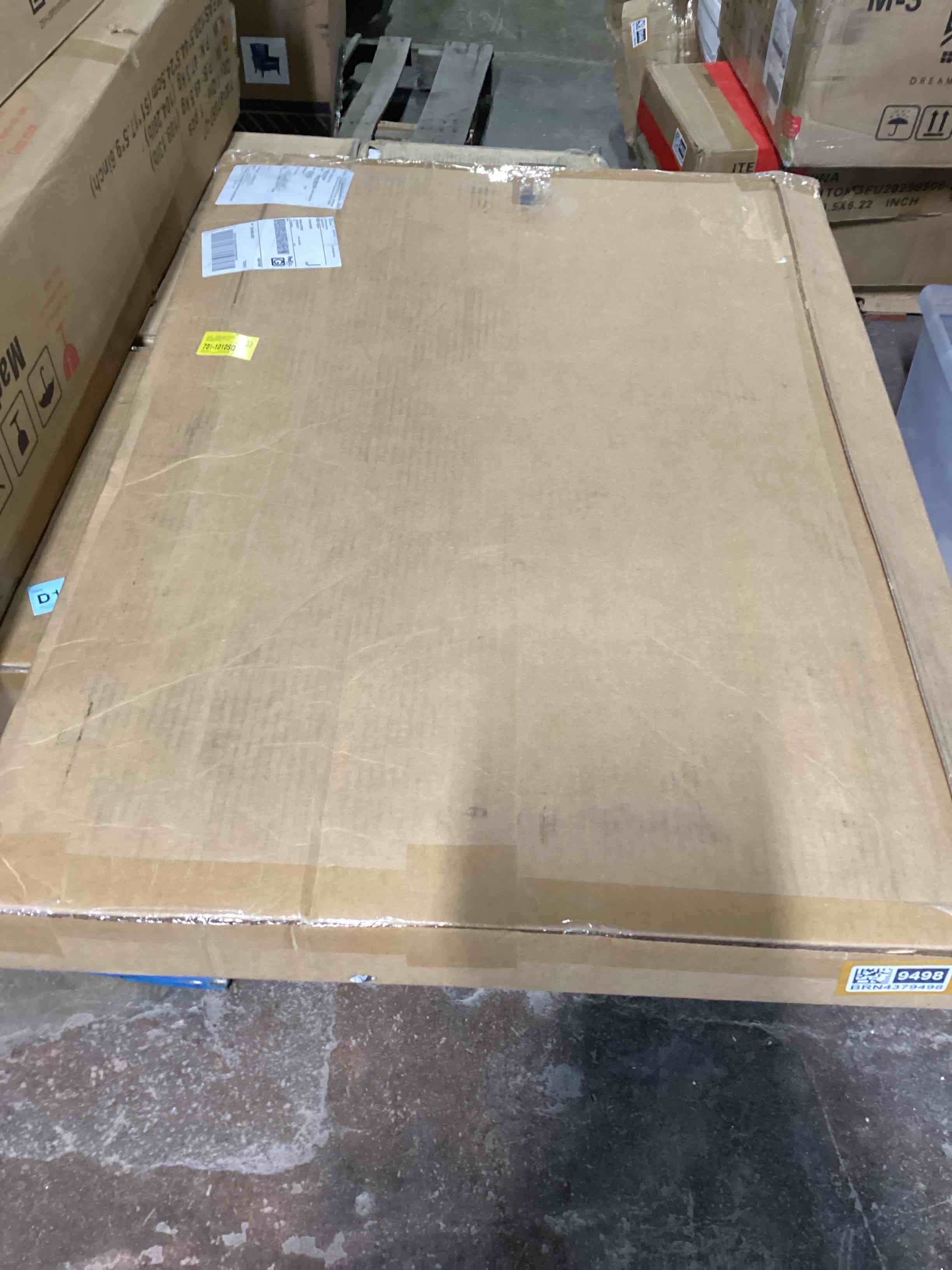 Condition photo showing Good Condition for vintage botanical - cx
