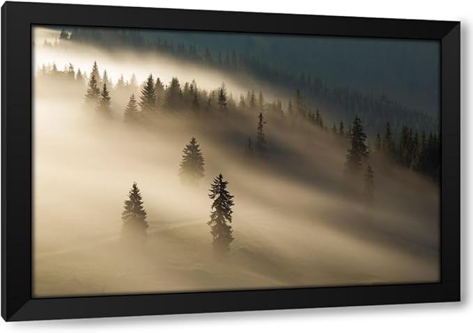 Golden Fog - Single Picture Frame Print on Canvas