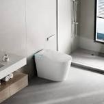 smart toilet
