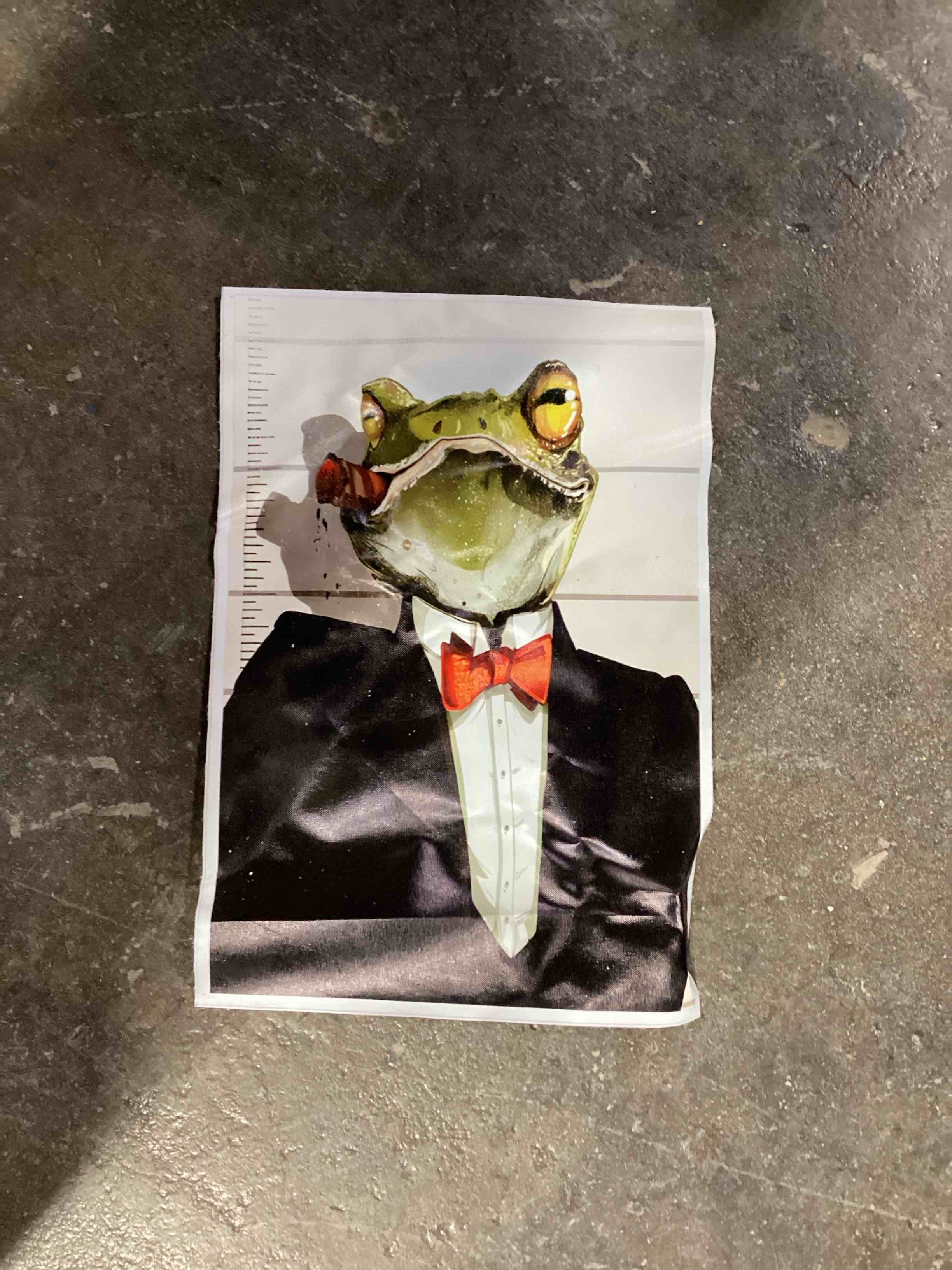 Condition photo showing Good Condition for tuxedo frog puffing a cigar in mugshot print canvas wall art