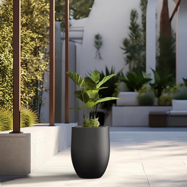plant pot