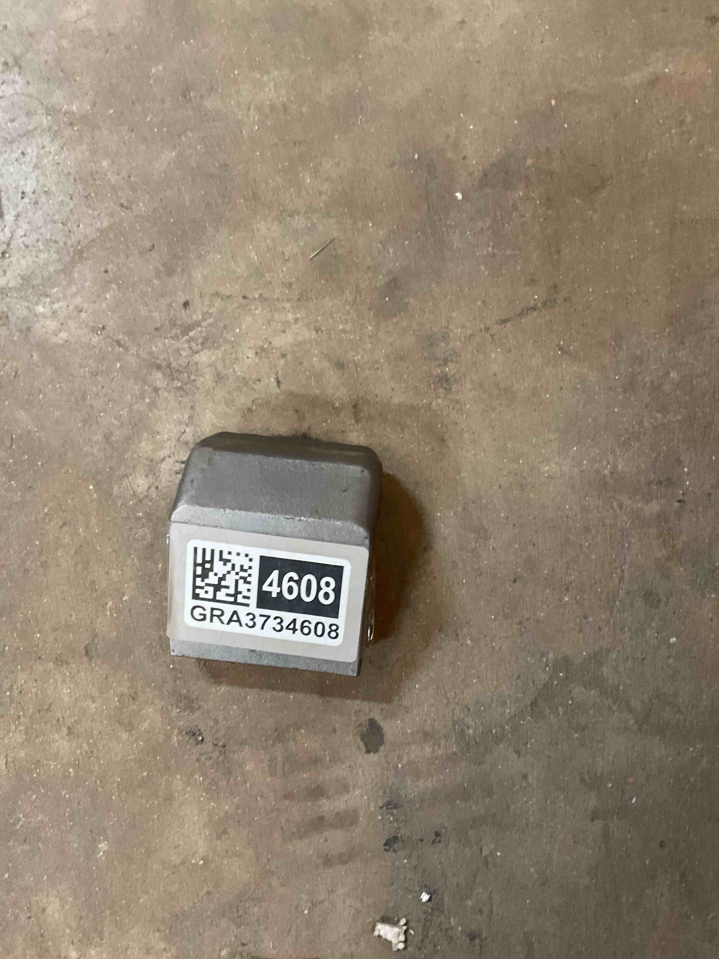 stumpgrinder teeth