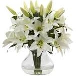 ashwood lilies floral arrangement in vase