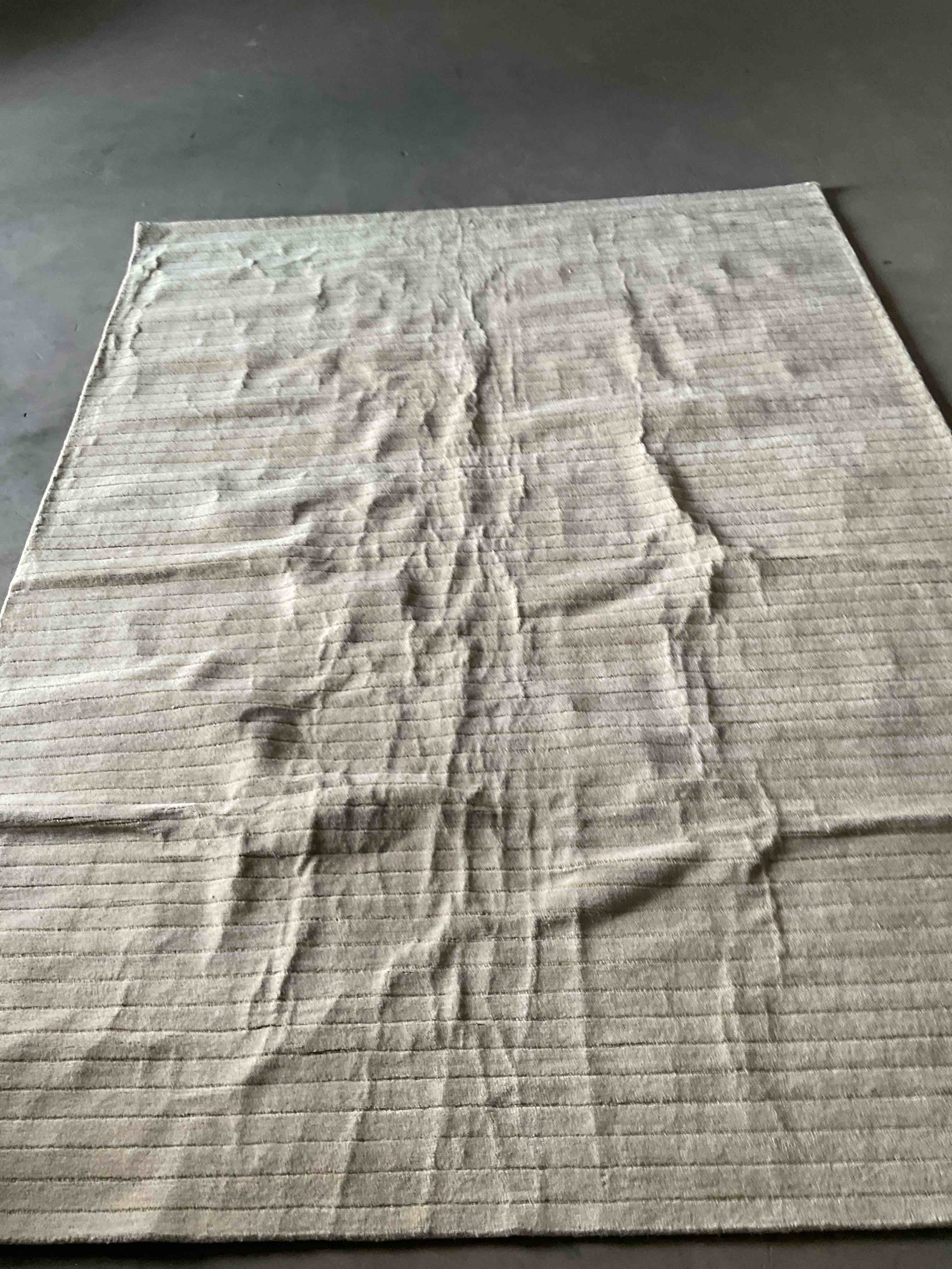 area rug (size in photos)