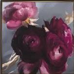 Plum Ranculus Contemporary Floral Art