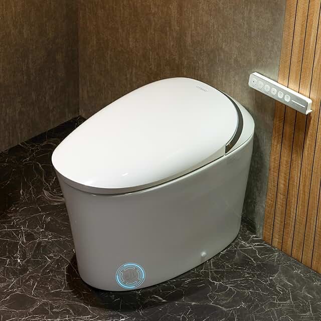bidet toilet