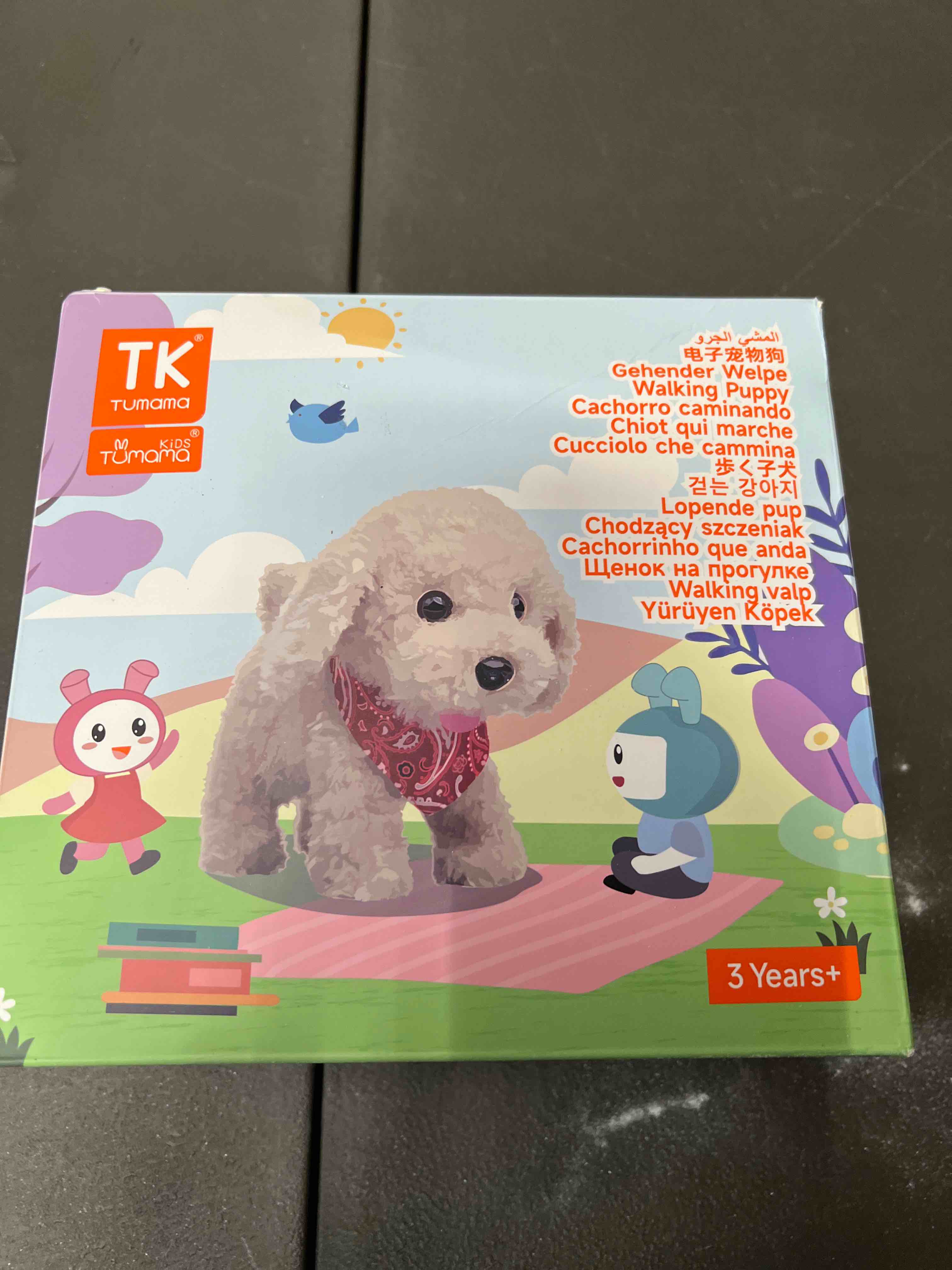 Condition photo showing Good Condition for tumama remote control electronic plush puppy dog toy, fun interactive toys,walks,barks,shake tail,dress up realistic stuffed animal dog, gift for girls boys age 3-6 year old