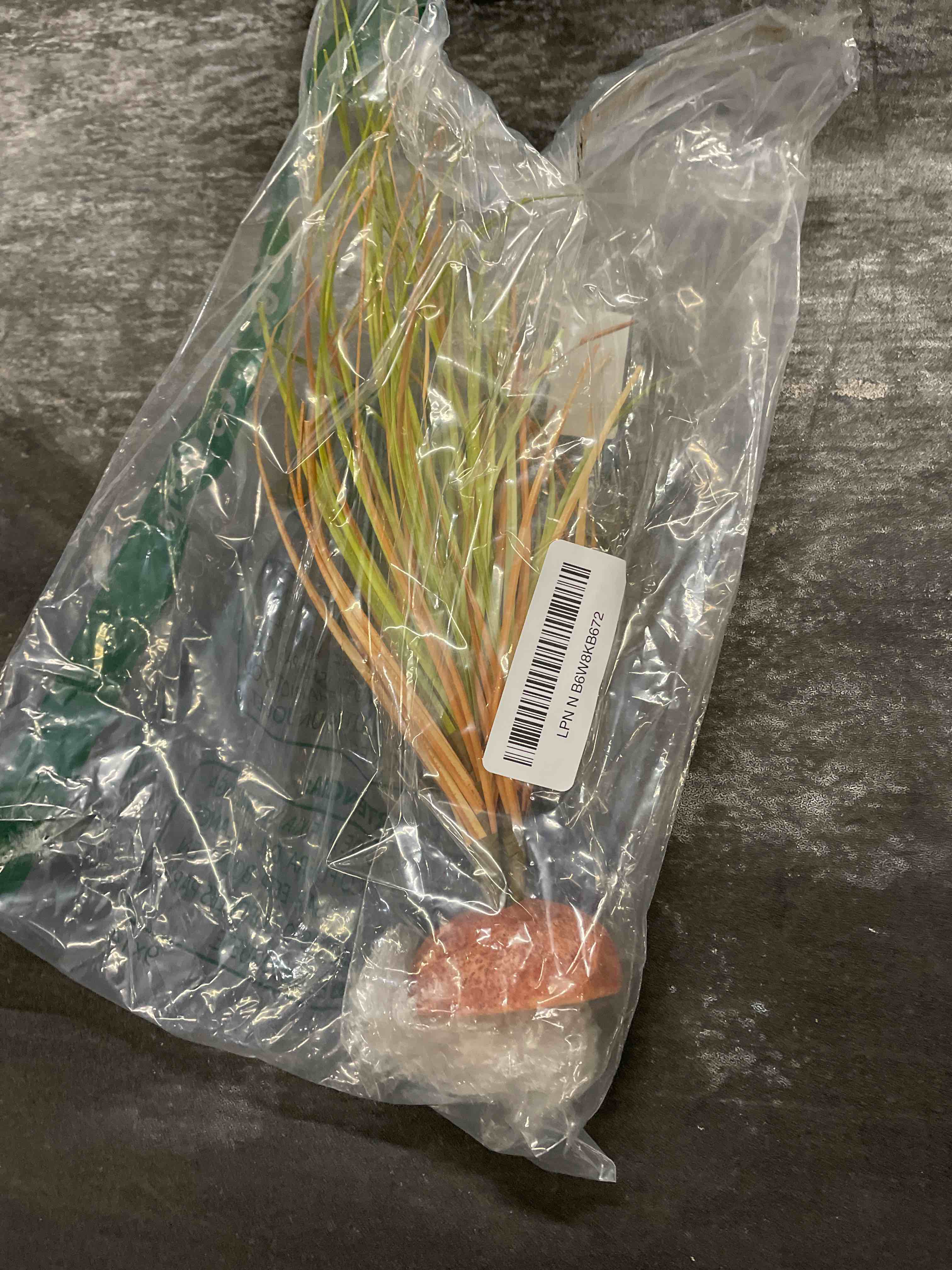 Condition photo showing Good Condition for fake desert dry grass, reptile plants for terrarium, bearded dragon tank accessories habitat decor fit crested gecko leopard lizard chameleon ball python snake f-fake desert dry grass