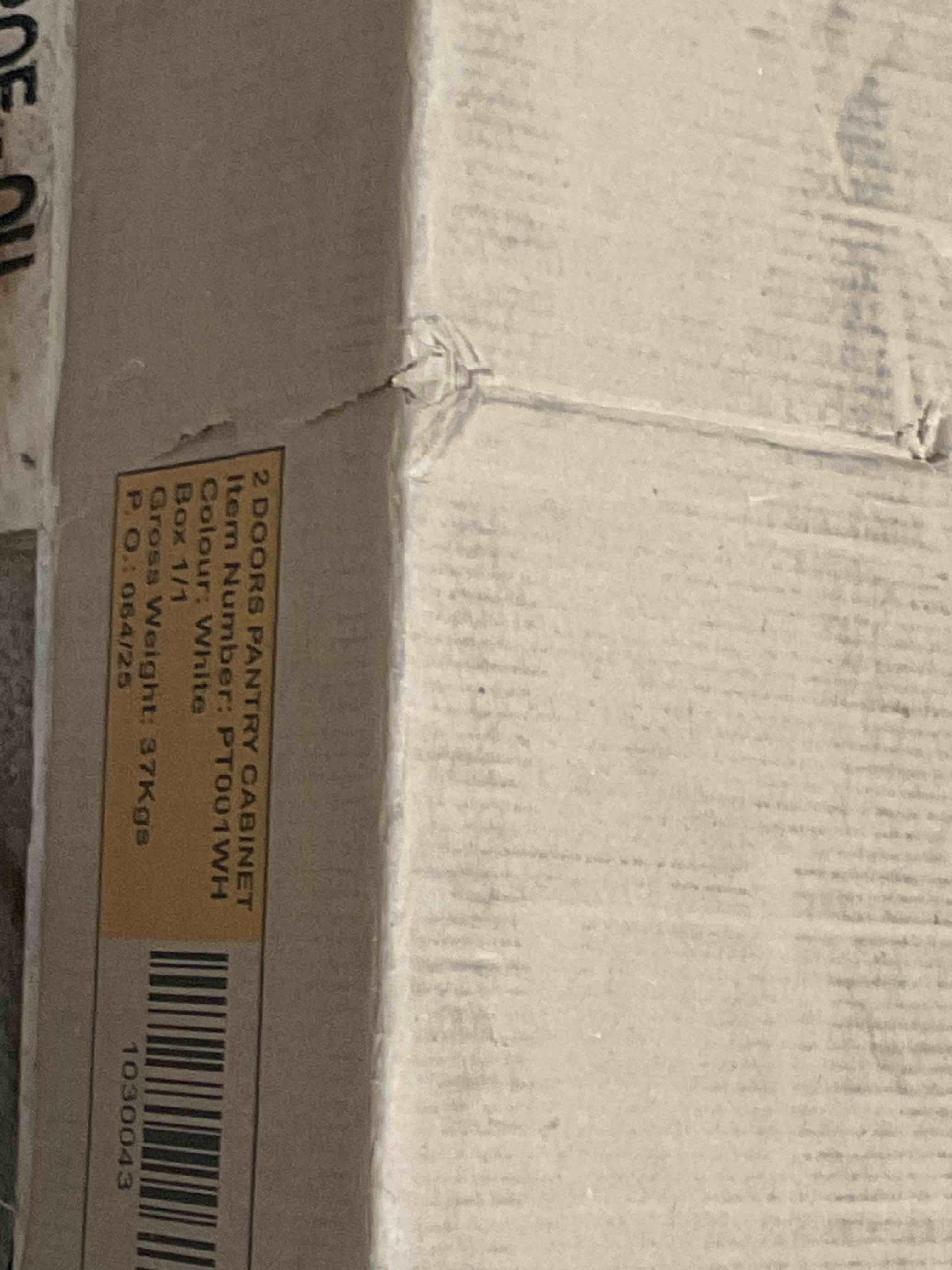 Condition photo showing Good Condition for TWO DOORS PANTRY CABINET