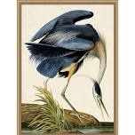 asiantic bird painting