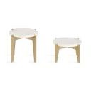 Durham 2 Piece Round Plant Stand Set in , Gold