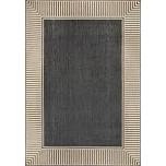 Alegre Bordered Indoor/Outdoor Rug