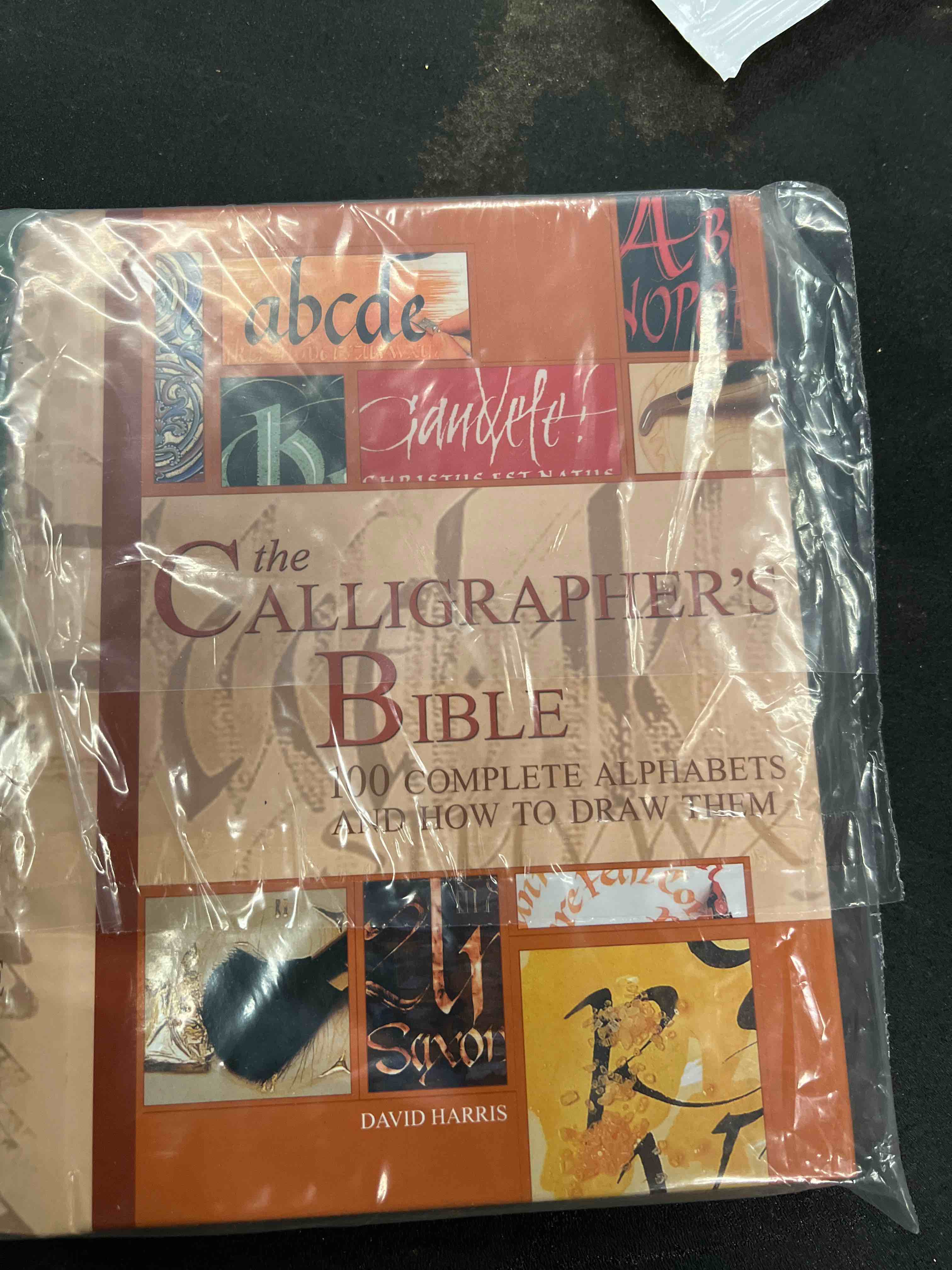 The Calligrapher's Bible: 100 Complete Alphabets with Step-by-Step Hand Lettering Guides