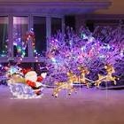 24-Inch 3D Pre-Lit Rudolph with C9 Light Strand - 80 Lights