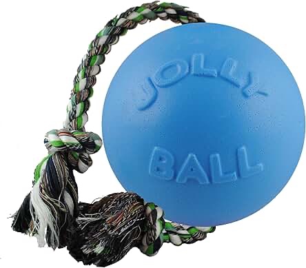 Jolly Pets Romp-n-Roll Rope and Ball Dog Toy, 8 Inches/Large, Blue, Model:608 BL