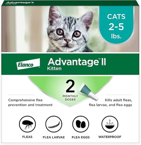 advantage ii kitten topical flea prevention and treatment 