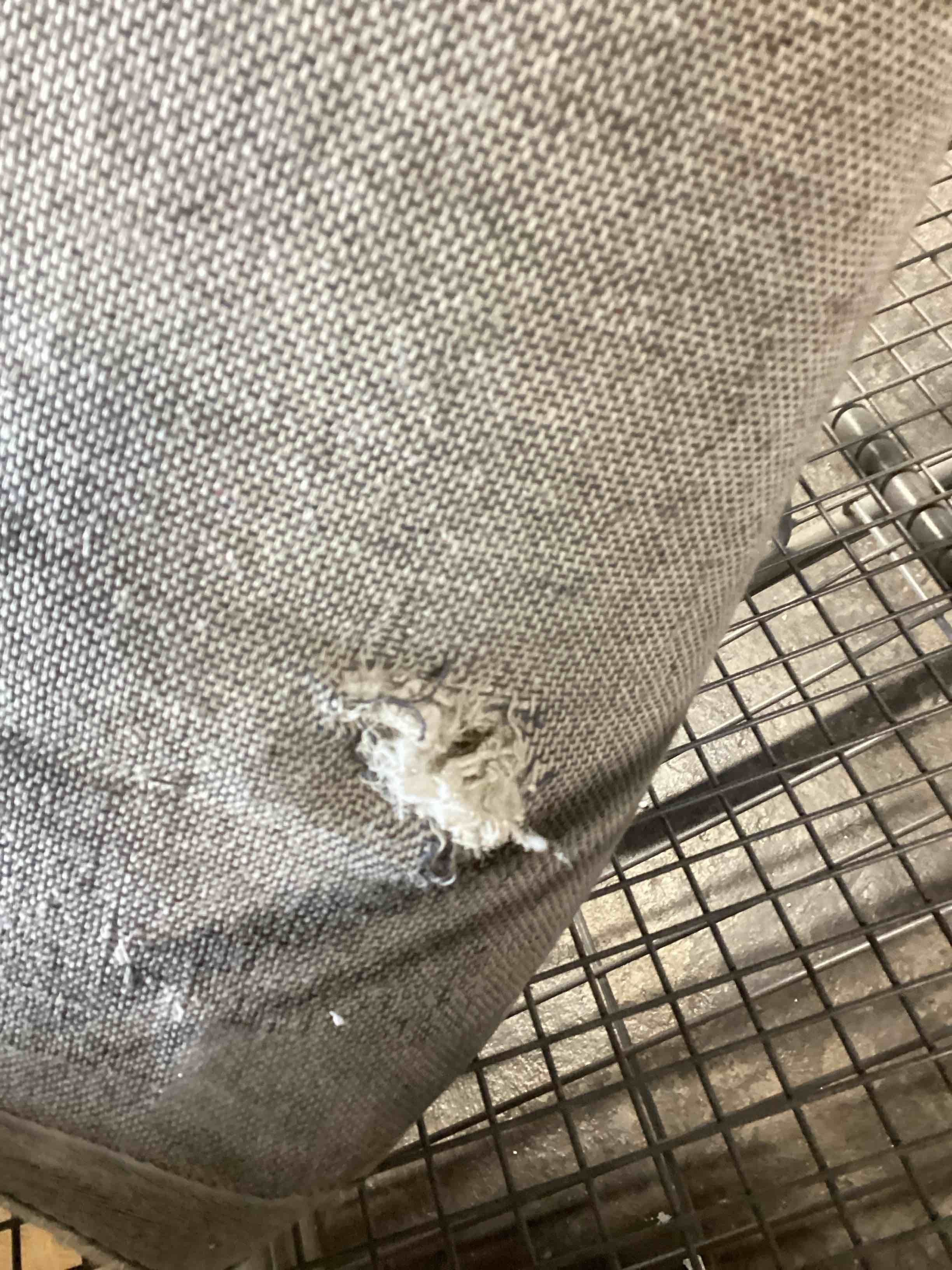 Condition photo showing Good Condition for (ripped) area rug (size in photos)
