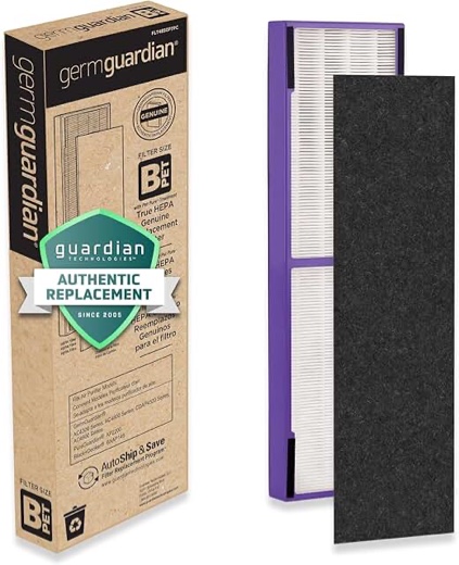GERM, GUARDIAN, TRUE HIPAA, GENUINE REPLACEMENT FILTER FILTER, SIZE B
