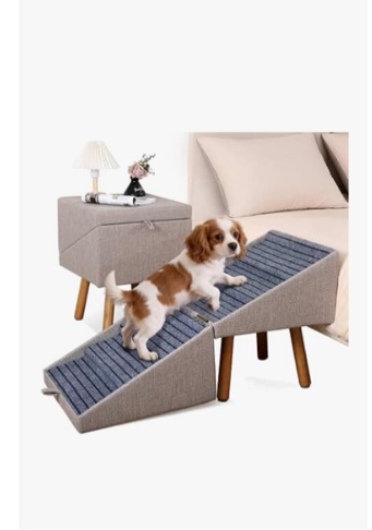 Condition photo showing Good Condition for dog ramp