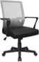 Lacoo Office Chair Mid Back Mesh Computer Chair Lumbar Support Desk Chair Ergonomic Executive Chair with Armrests and Thick Seat, Gray