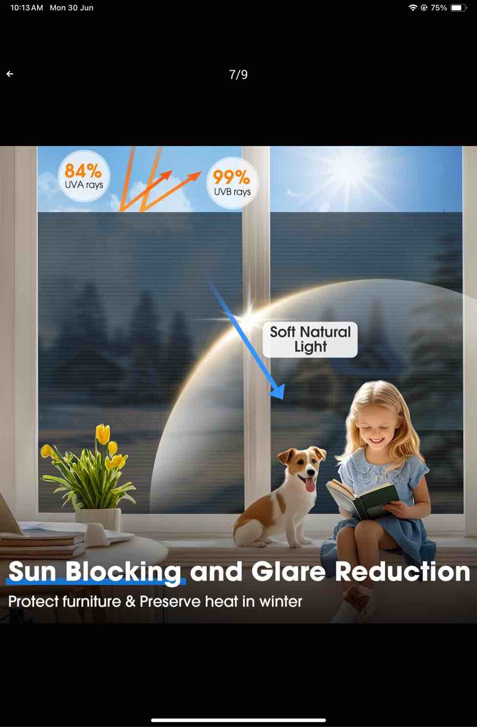 https://s3.amazonaws.com/lotting-images-prod/TEA2355122_1751296418363.jpeg