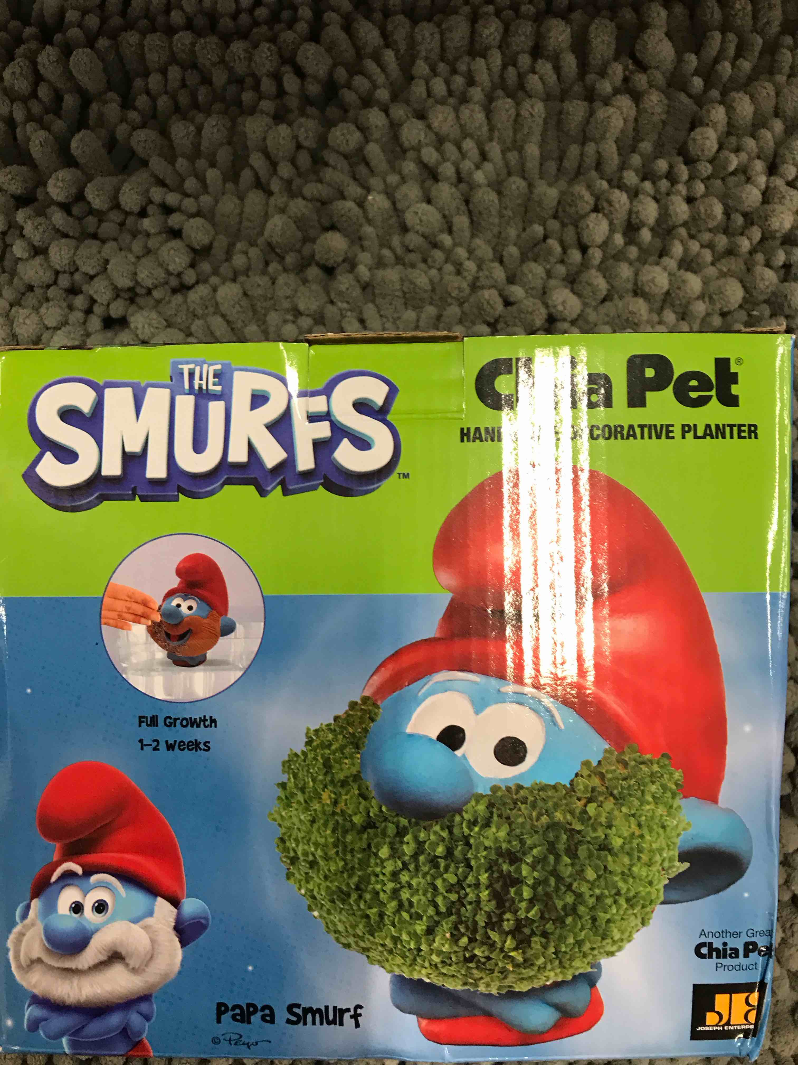 Condition photo showing Good Condition for NECA Chia Pet Papa Smurf