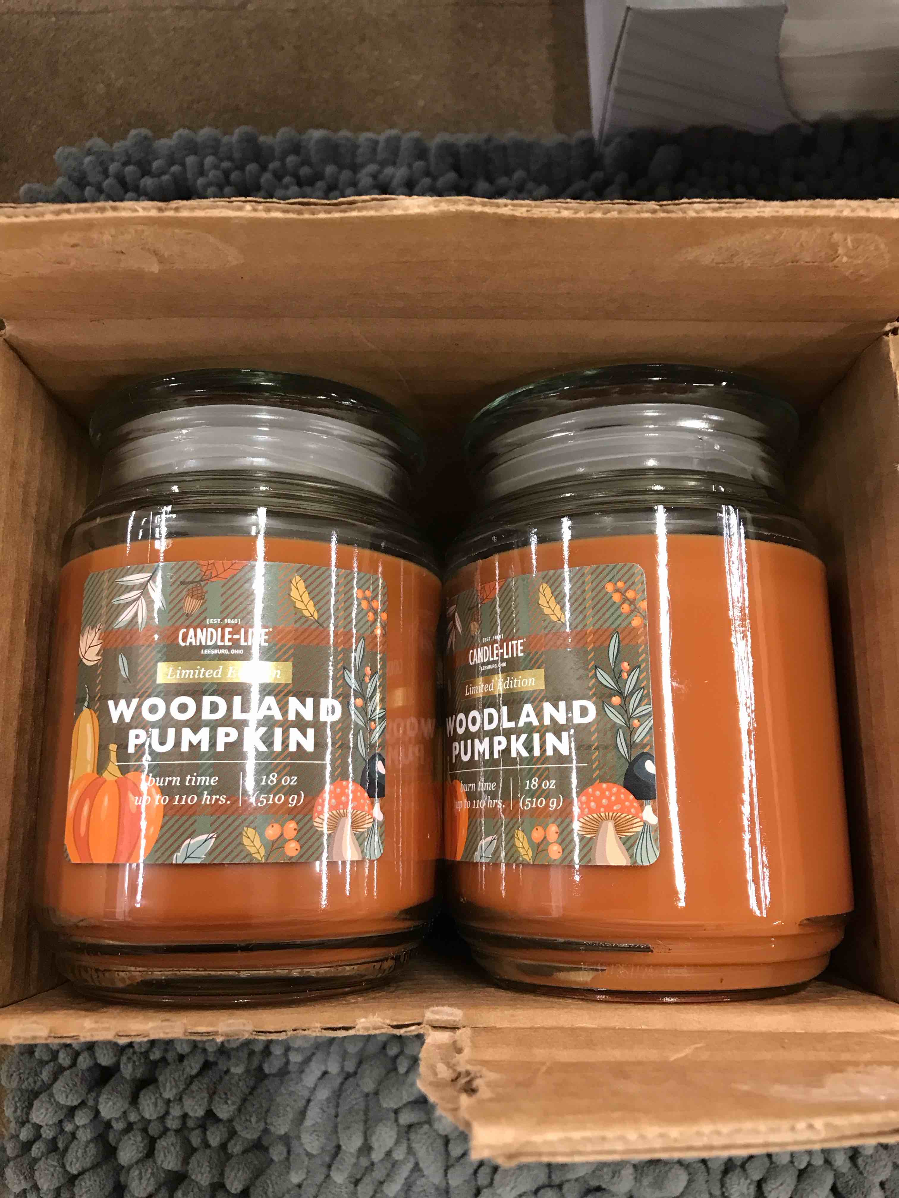 Condition photo showing Good Condition for Candle-Lite Woodland Pumpkin Candles   Set of 4