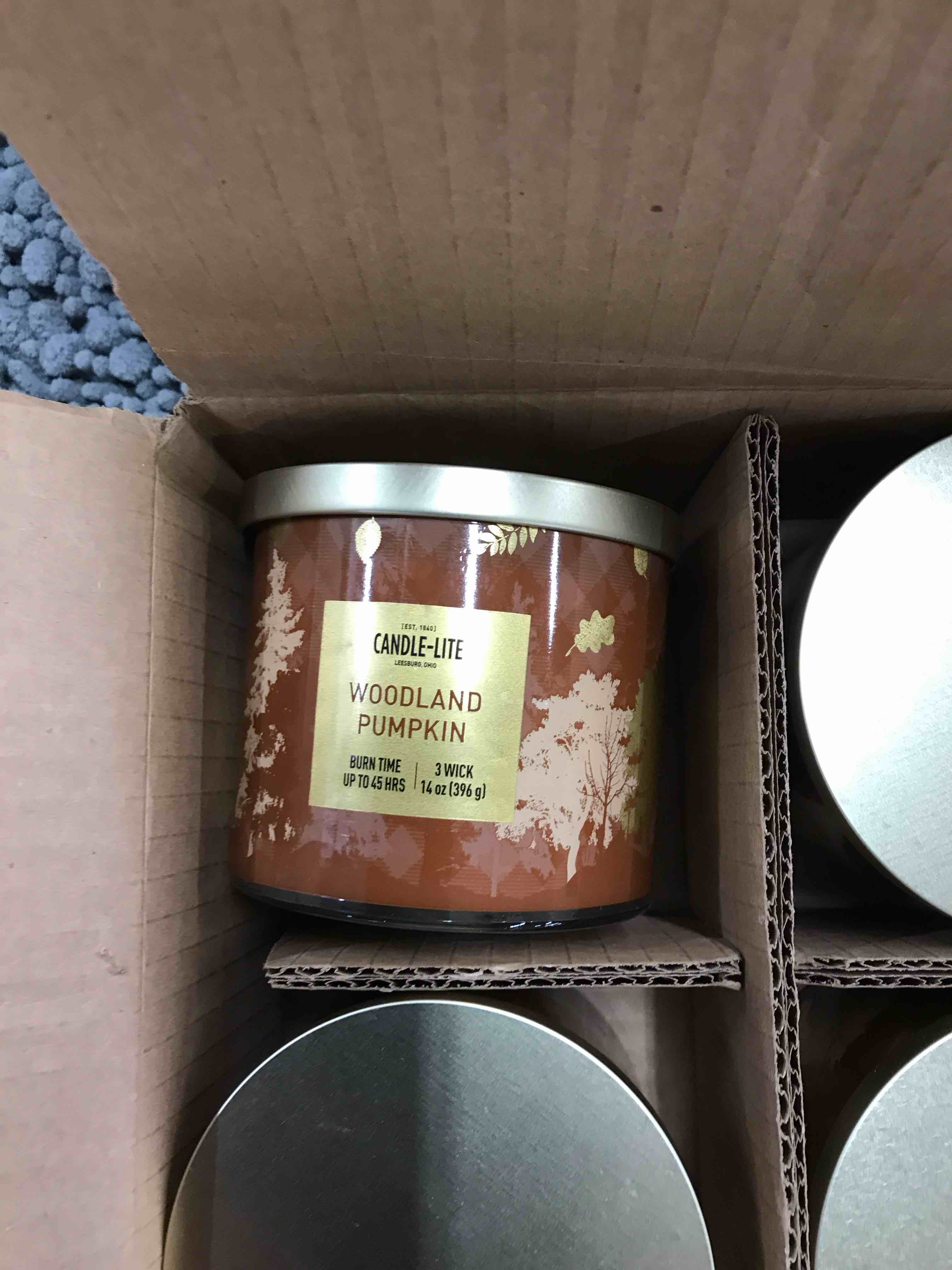 Condition photo showing Good Condition for Candle-Lite Woodland Pumpkin Candles.   Set of 4