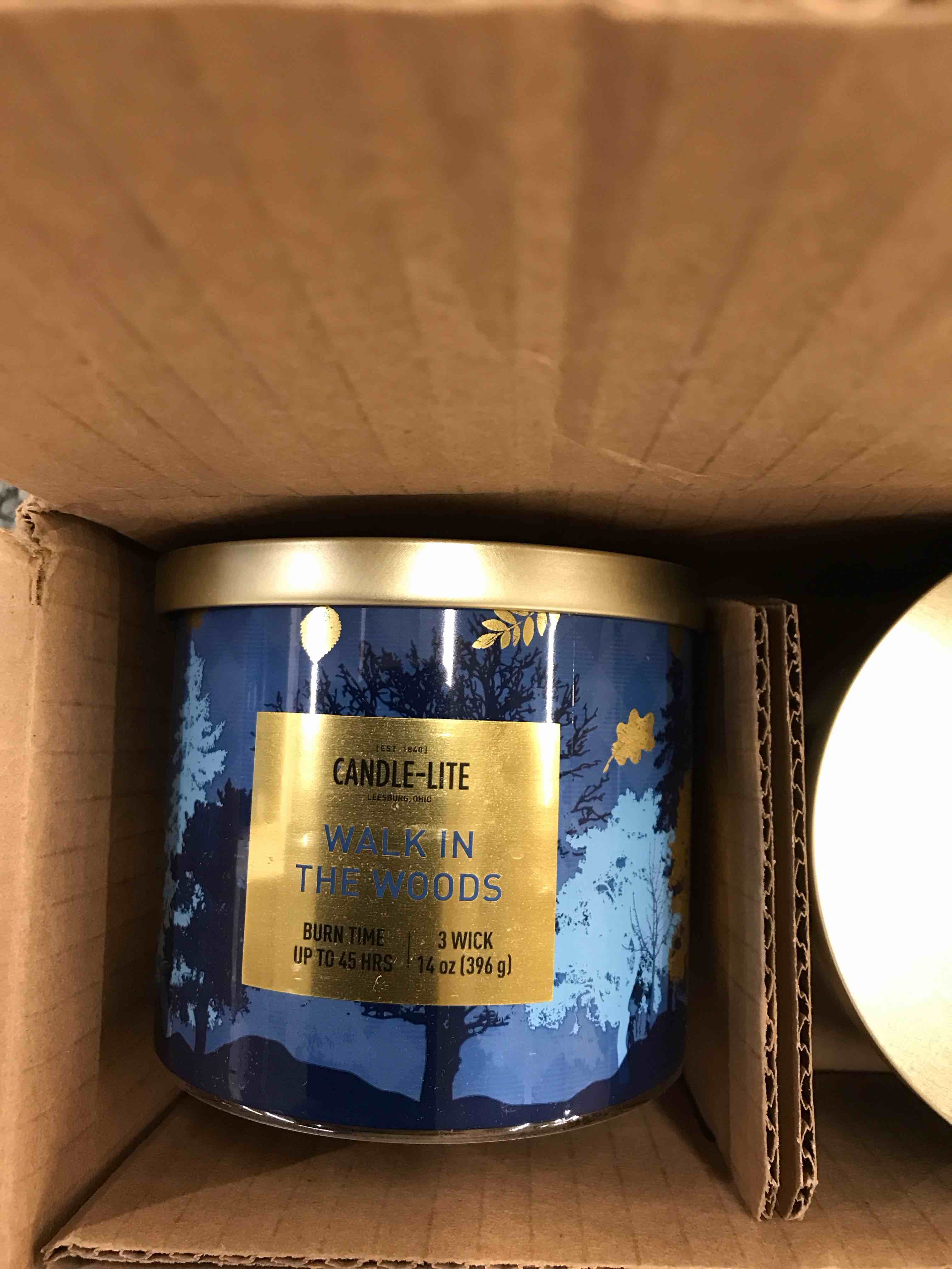 Condition photo showing Good Condition for Candle-Lite Walk in the Woods Candles.      Set of 4