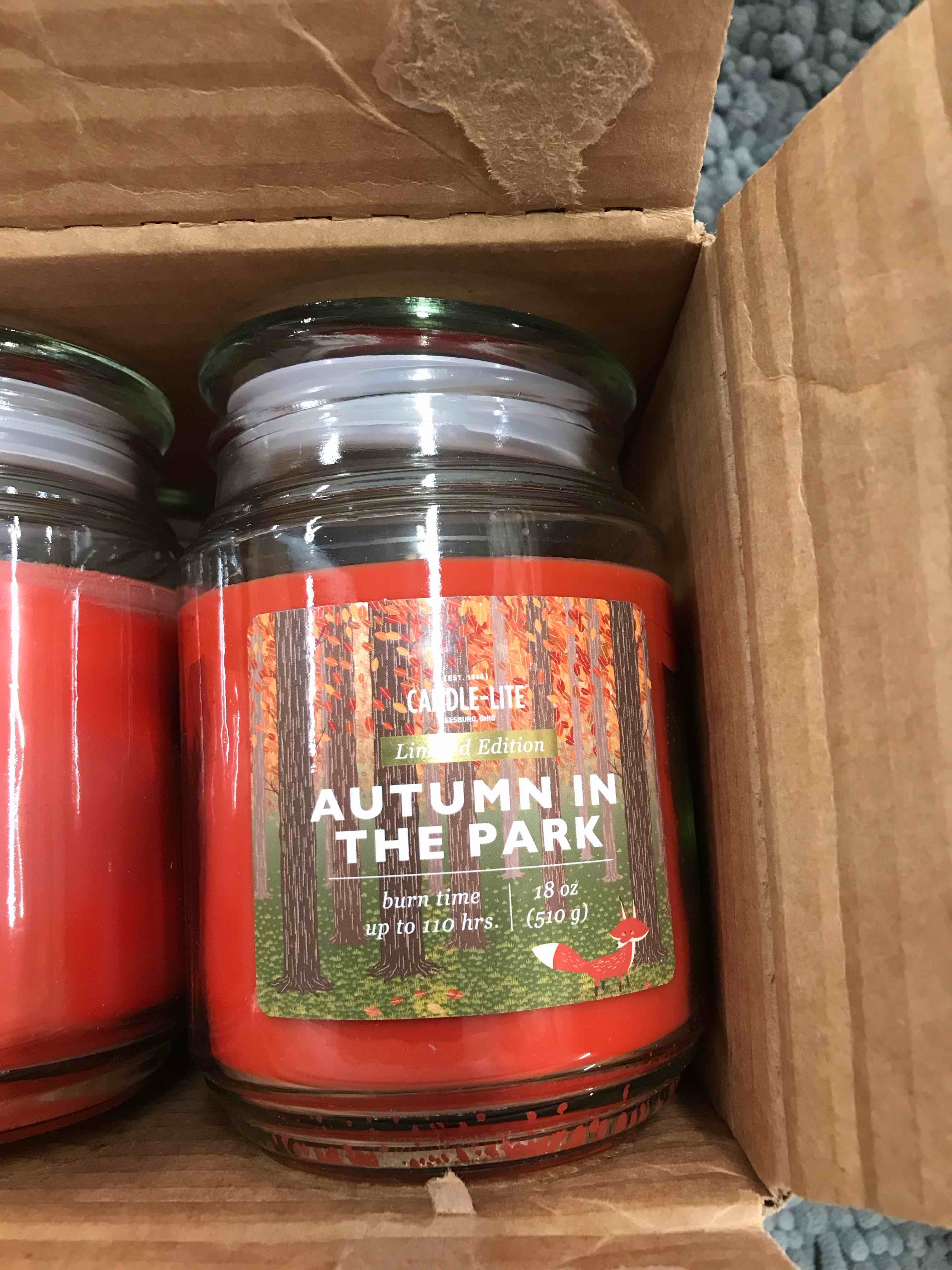Condition photo showing New/Like New for Candle-Lite Autumn in the Park Candles.      Set of 4