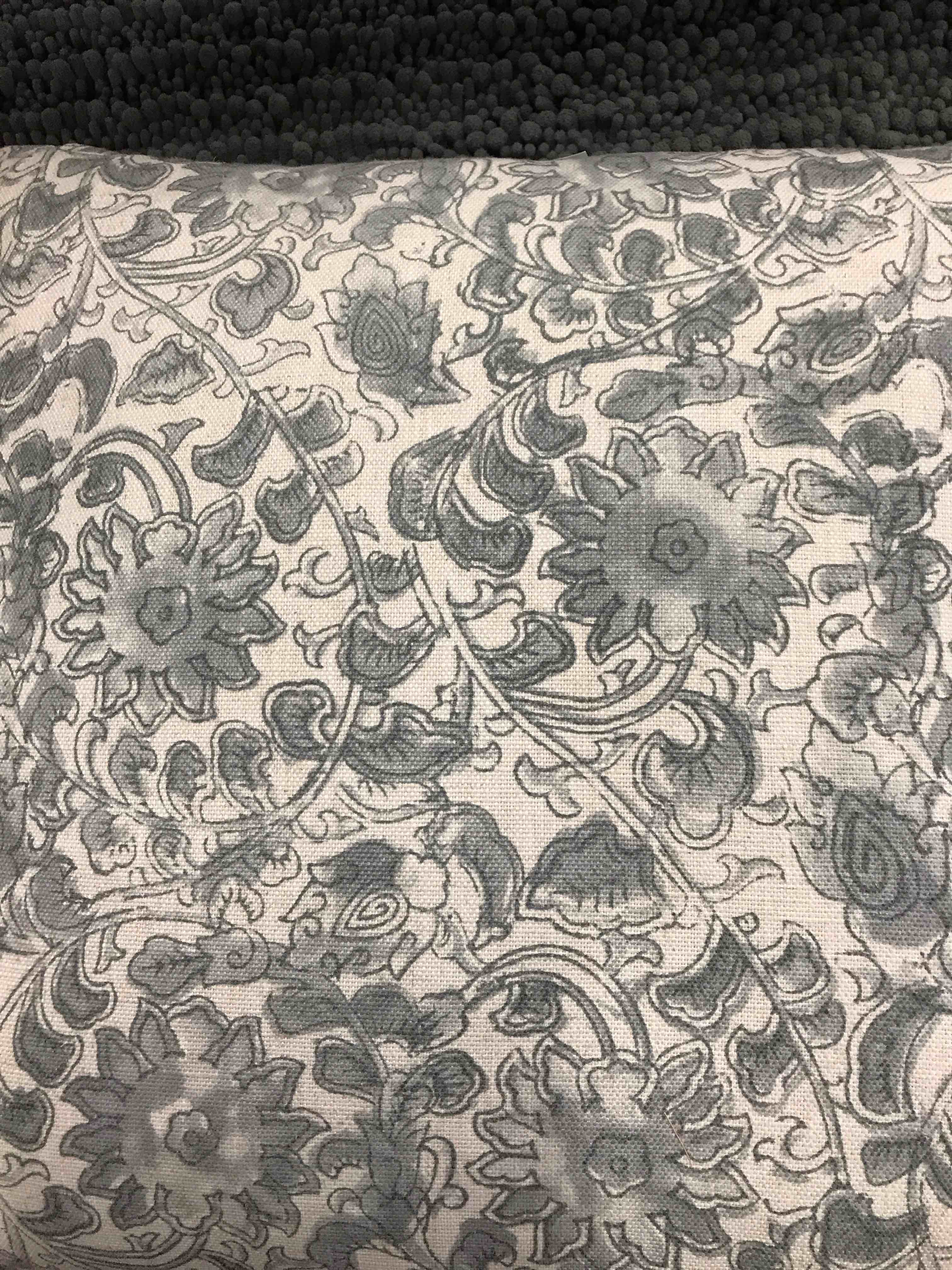 Condition photo showing Good Condition for Decorative Pillow 