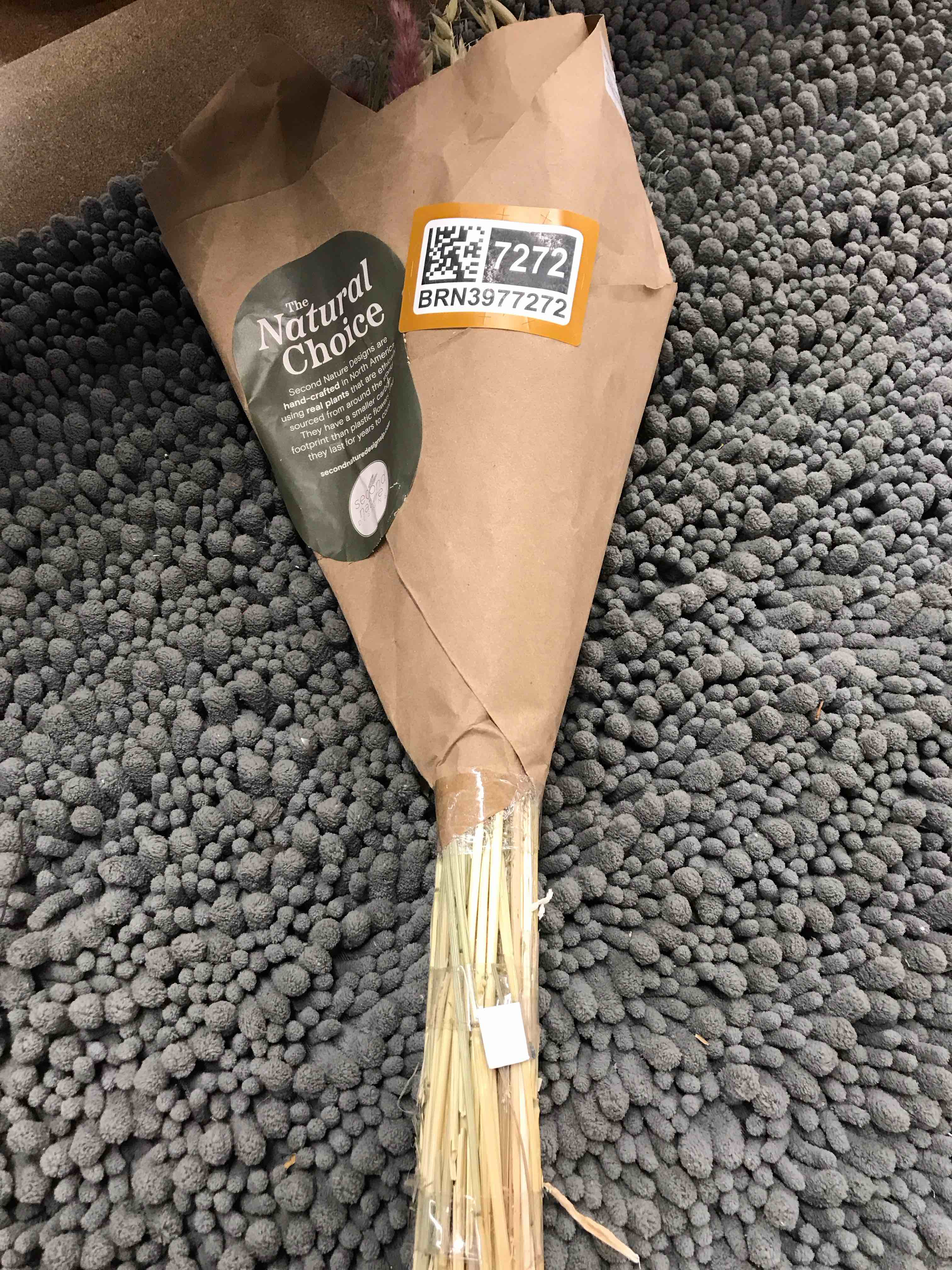 natures choice plants