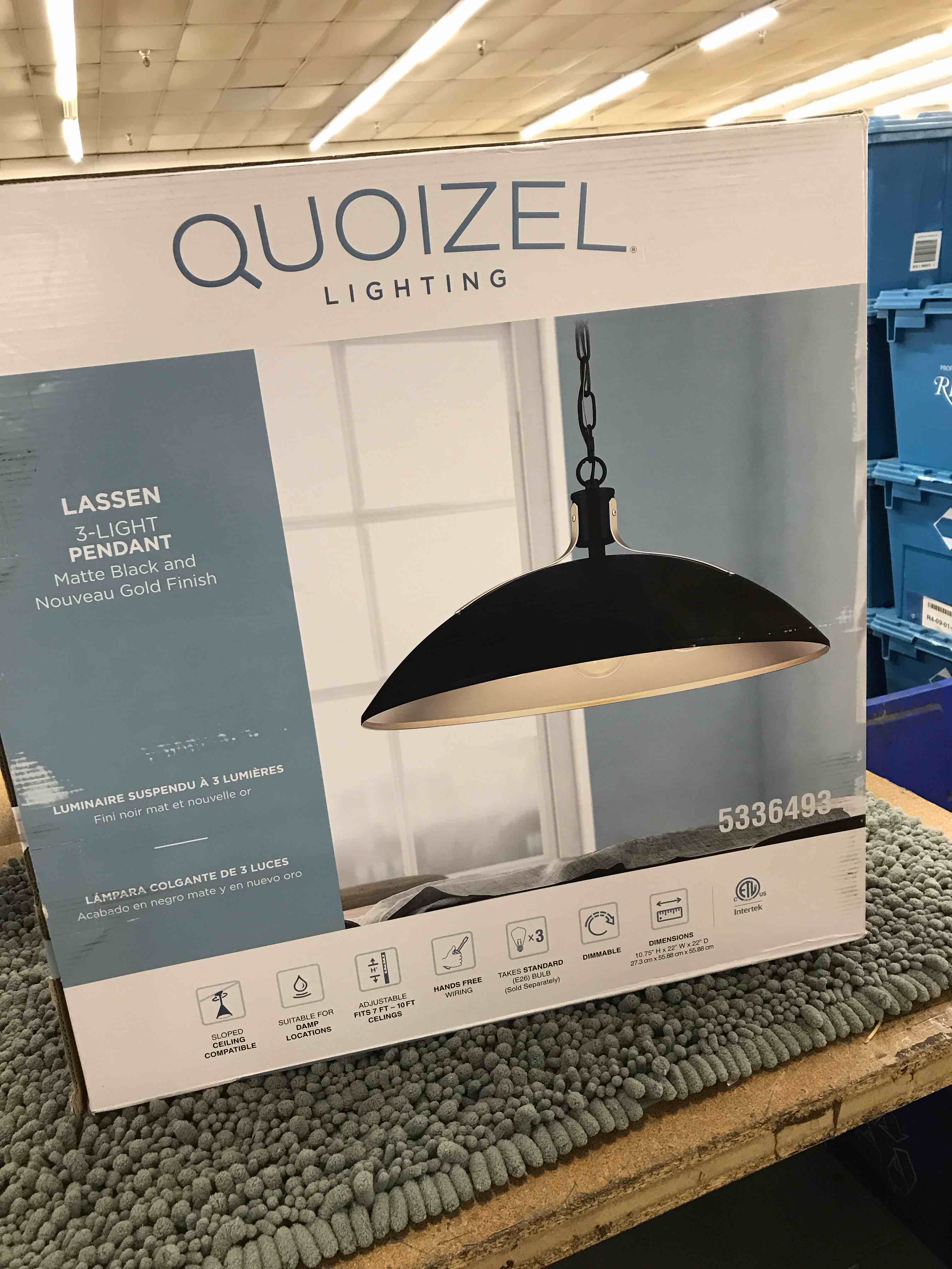 quoizel 3 light pendant