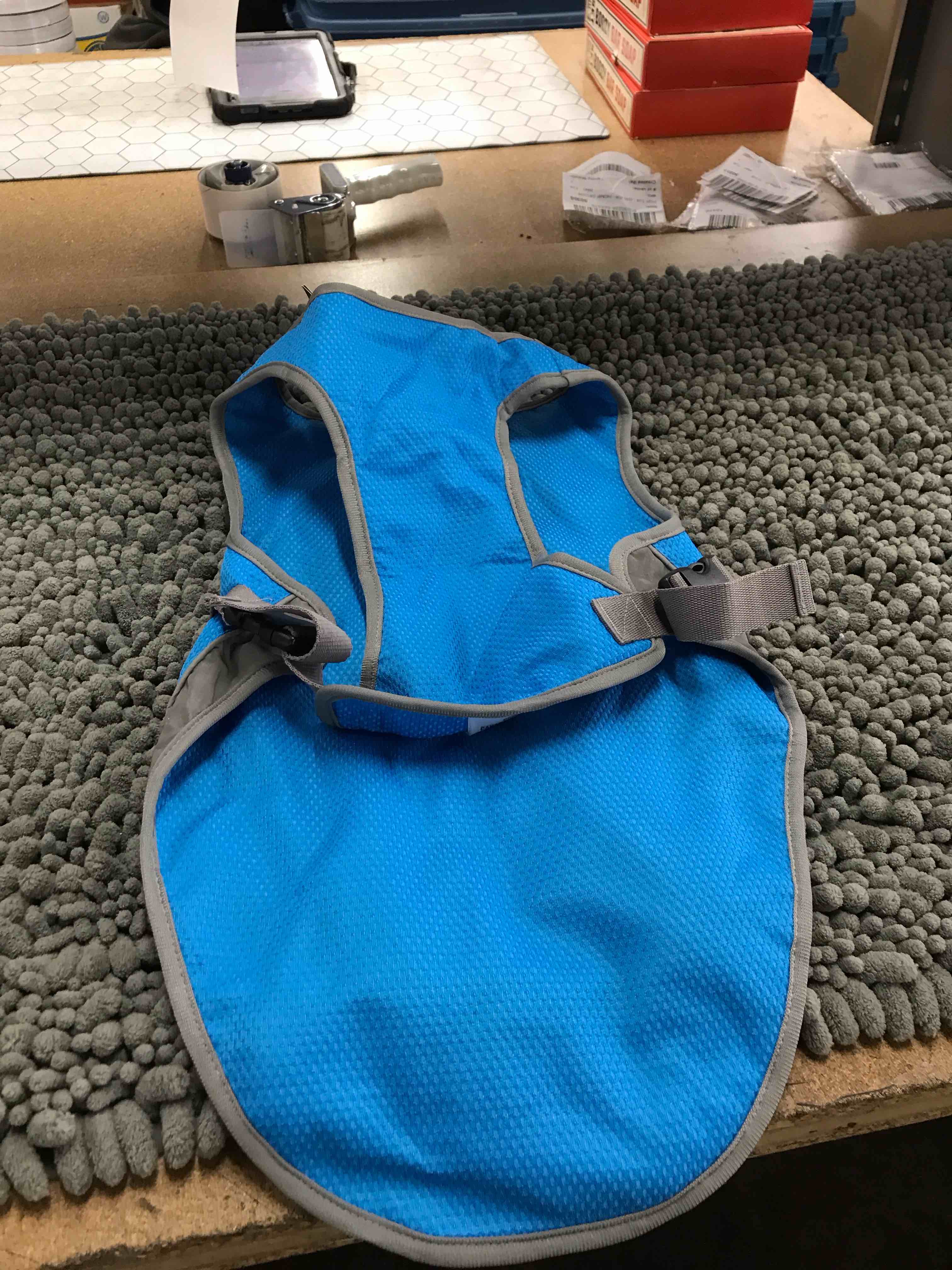 Condition photo showing Good Condition for 33-40 lb Canada pooch