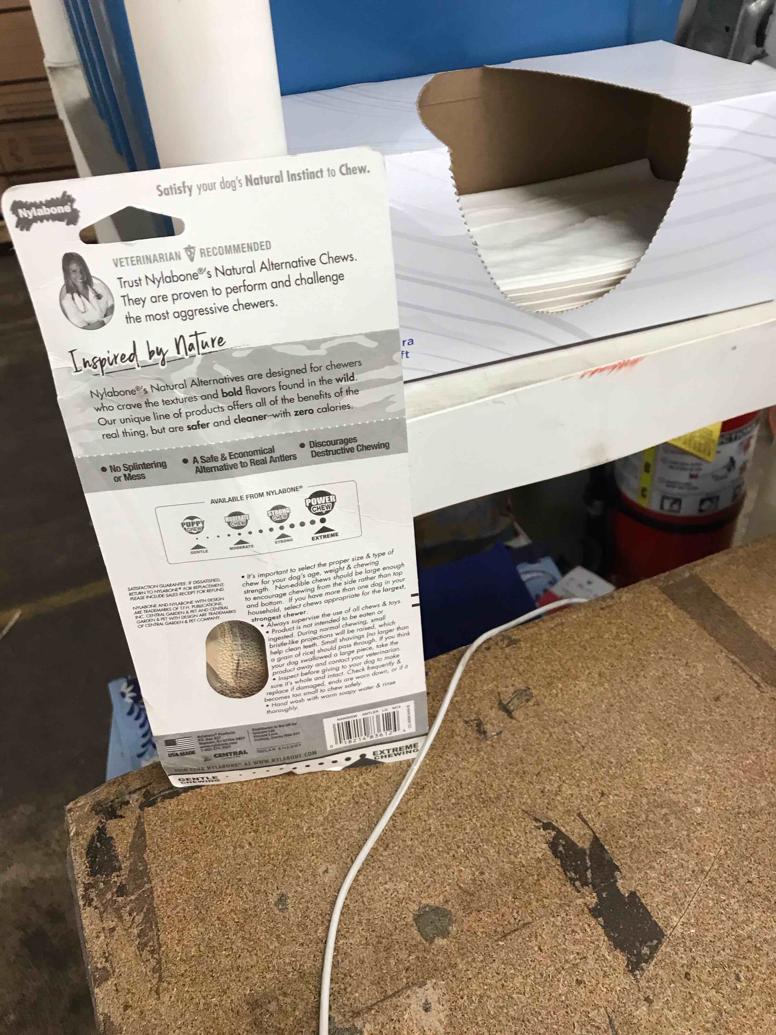 Condition photo showing Good Condition for Nylabone chewing toy