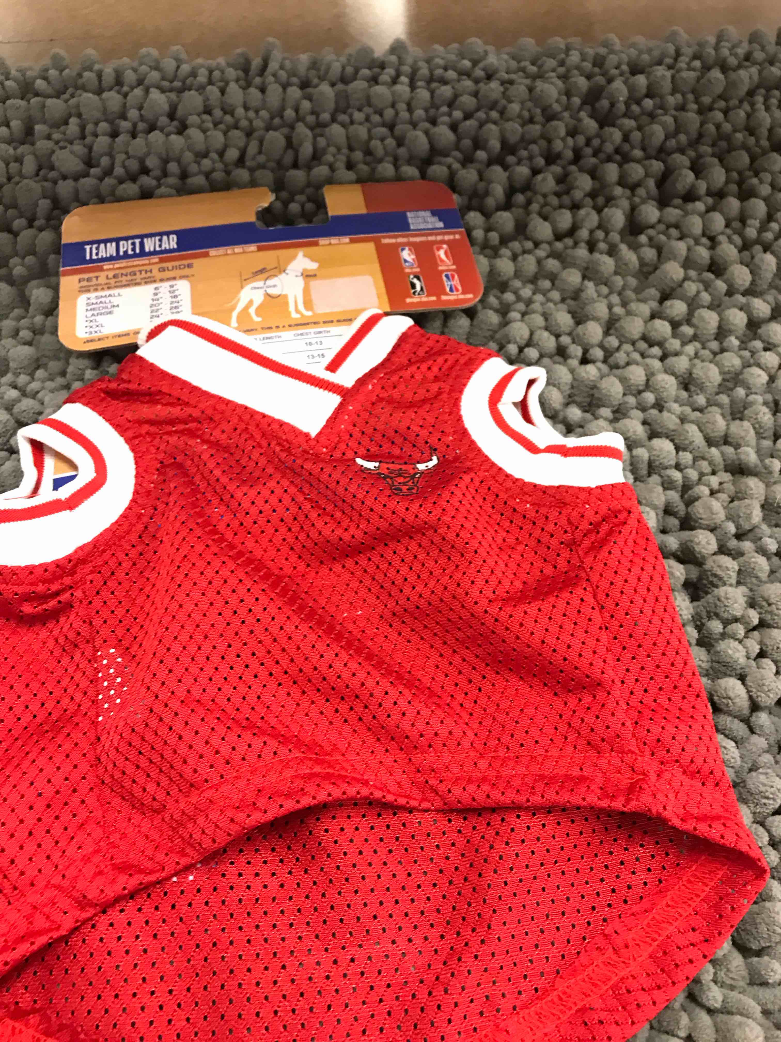 Condition photo showing Good Condition for size small bulls dog wear