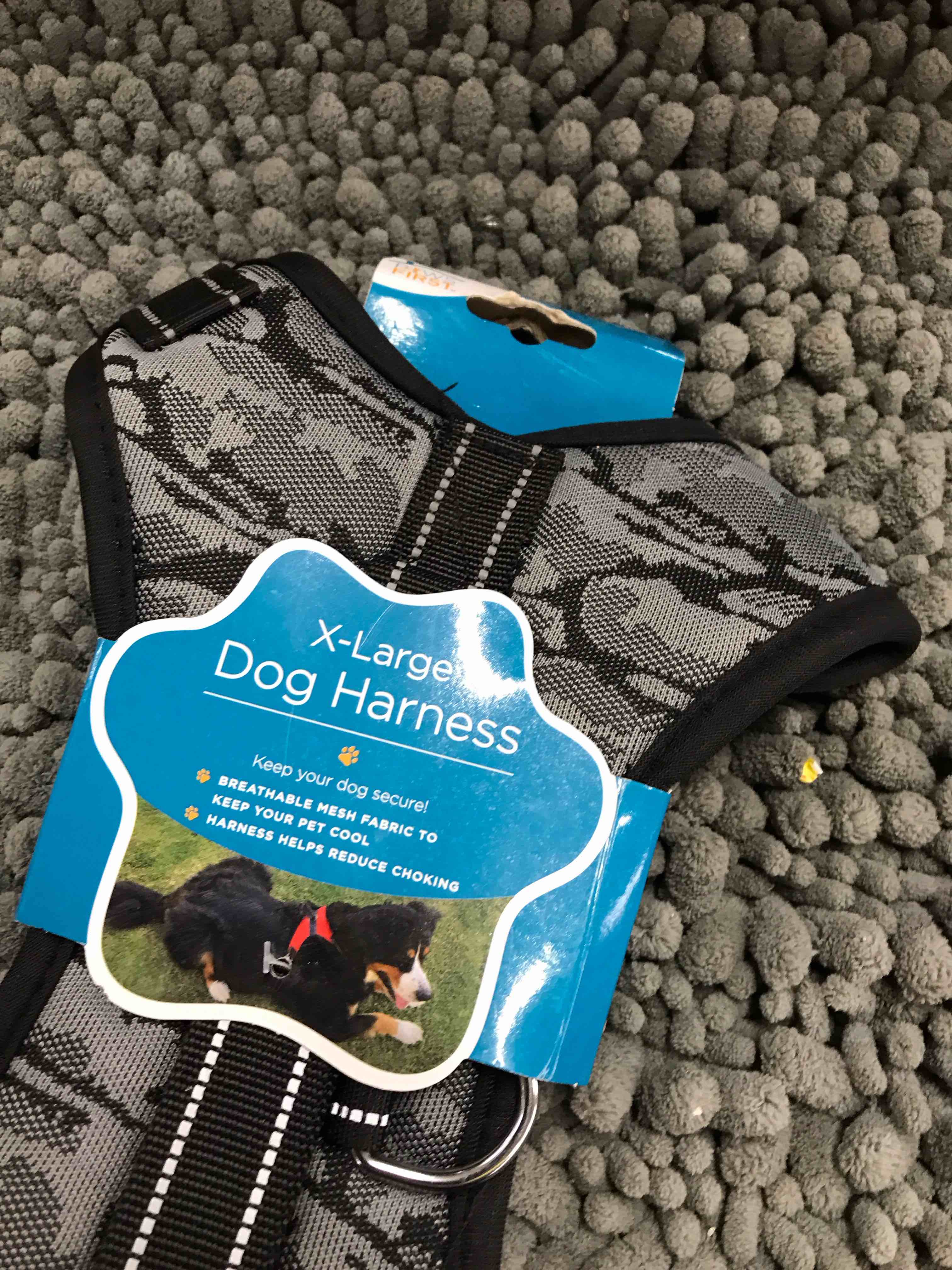 Condition photo showing Good Condition for dog harness