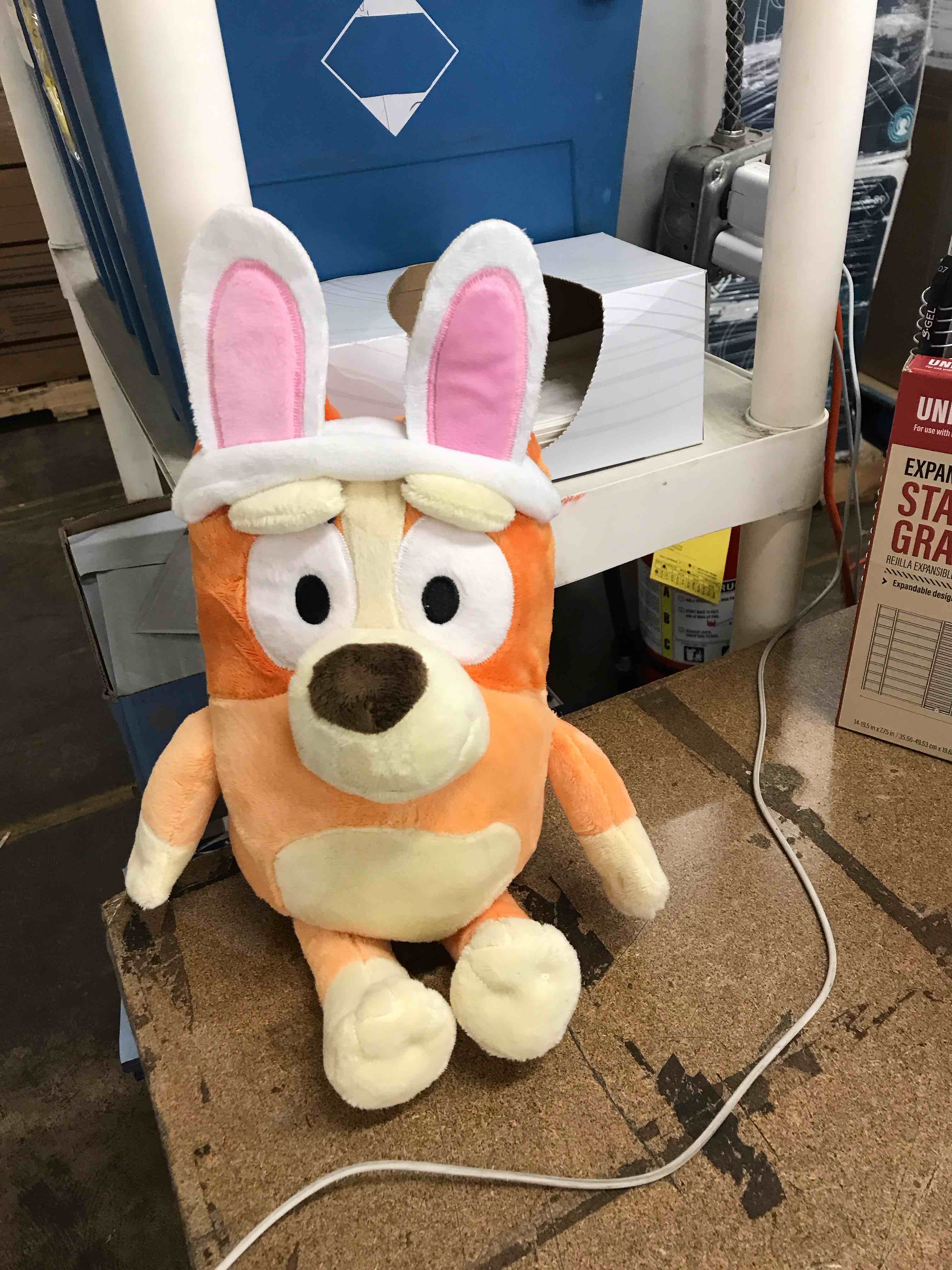 Condition photo showing Good Condition for Bluey with bunny ears