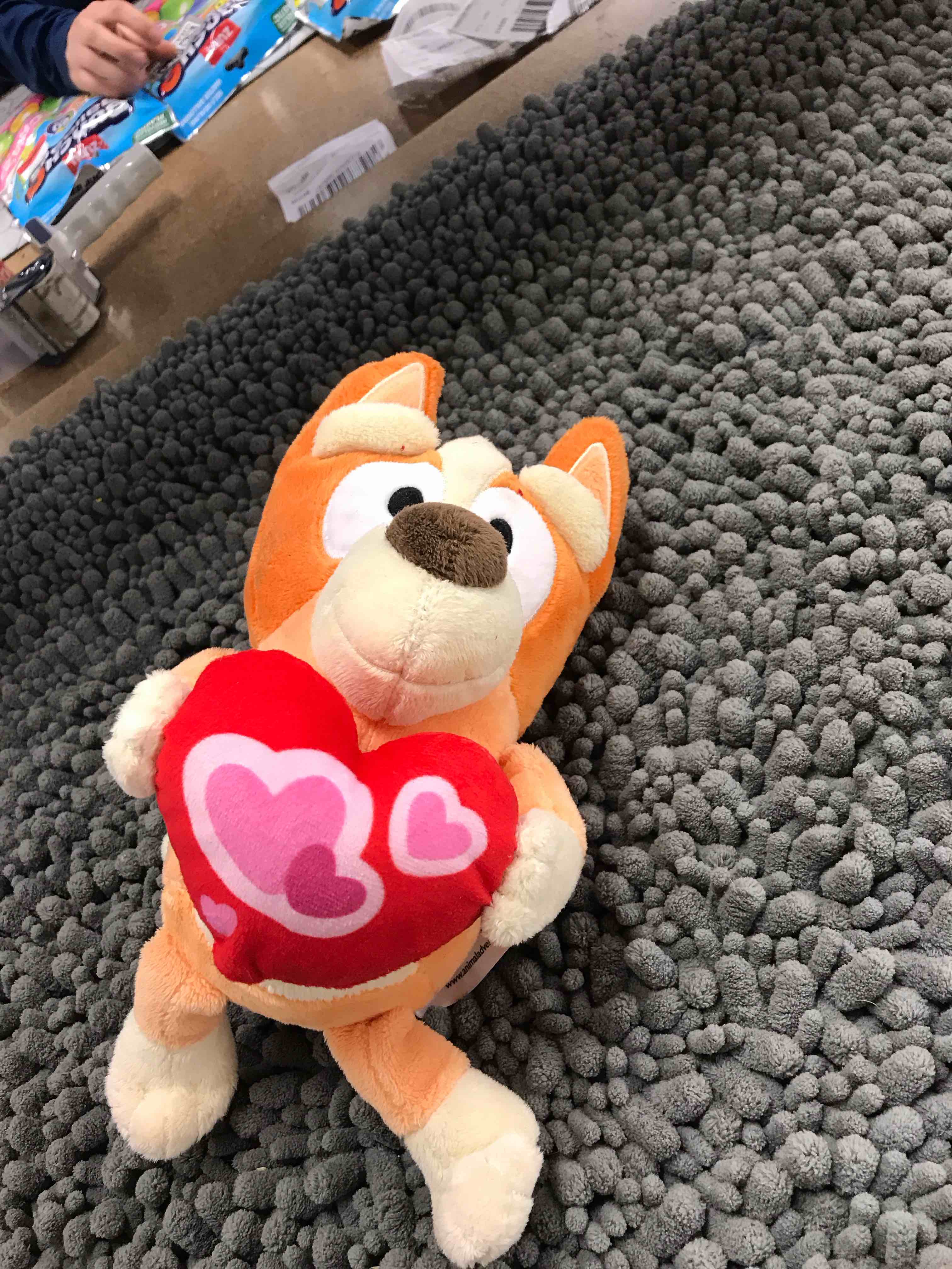 Condition photo showing New/Like New for valentine Bluey