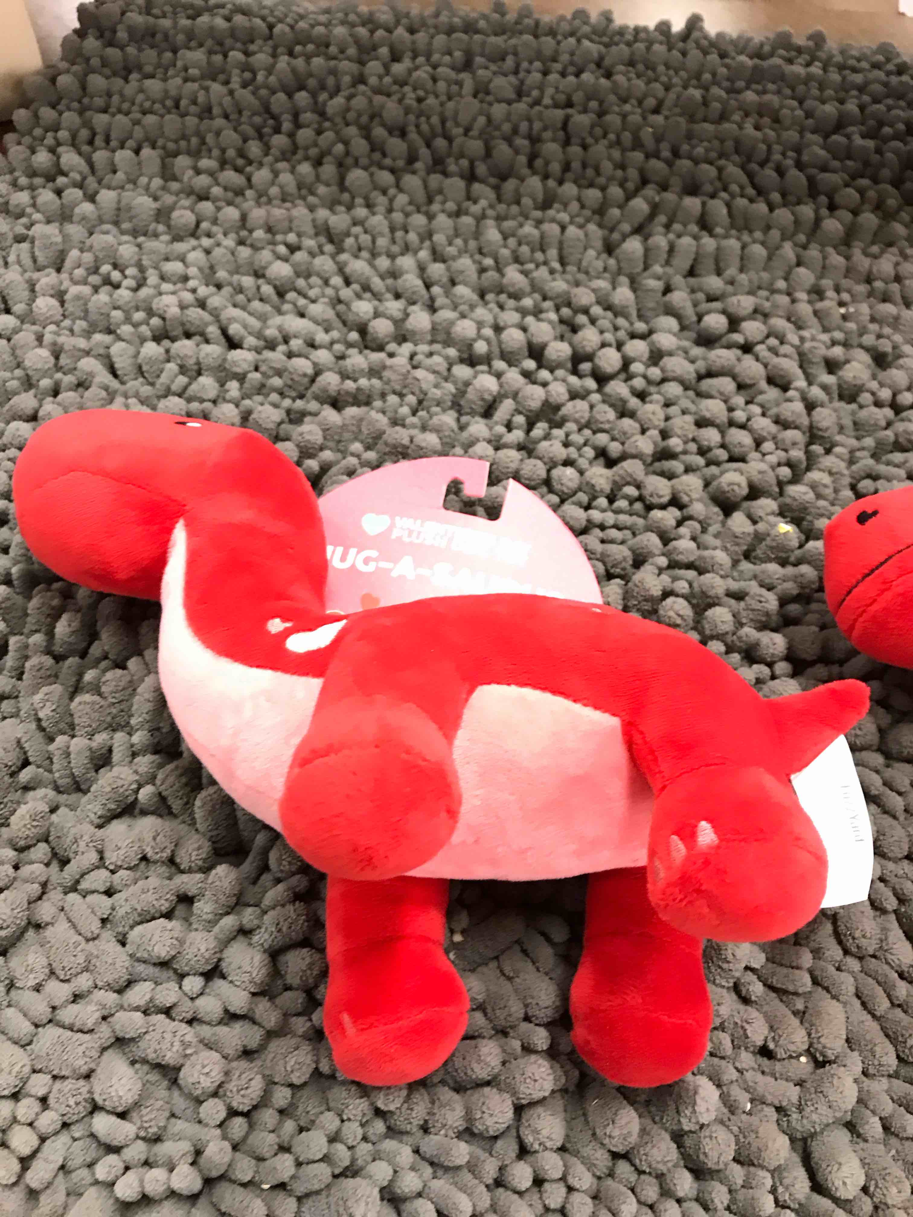 Condition photo showing Good Condition for dinosaur plush dog toy