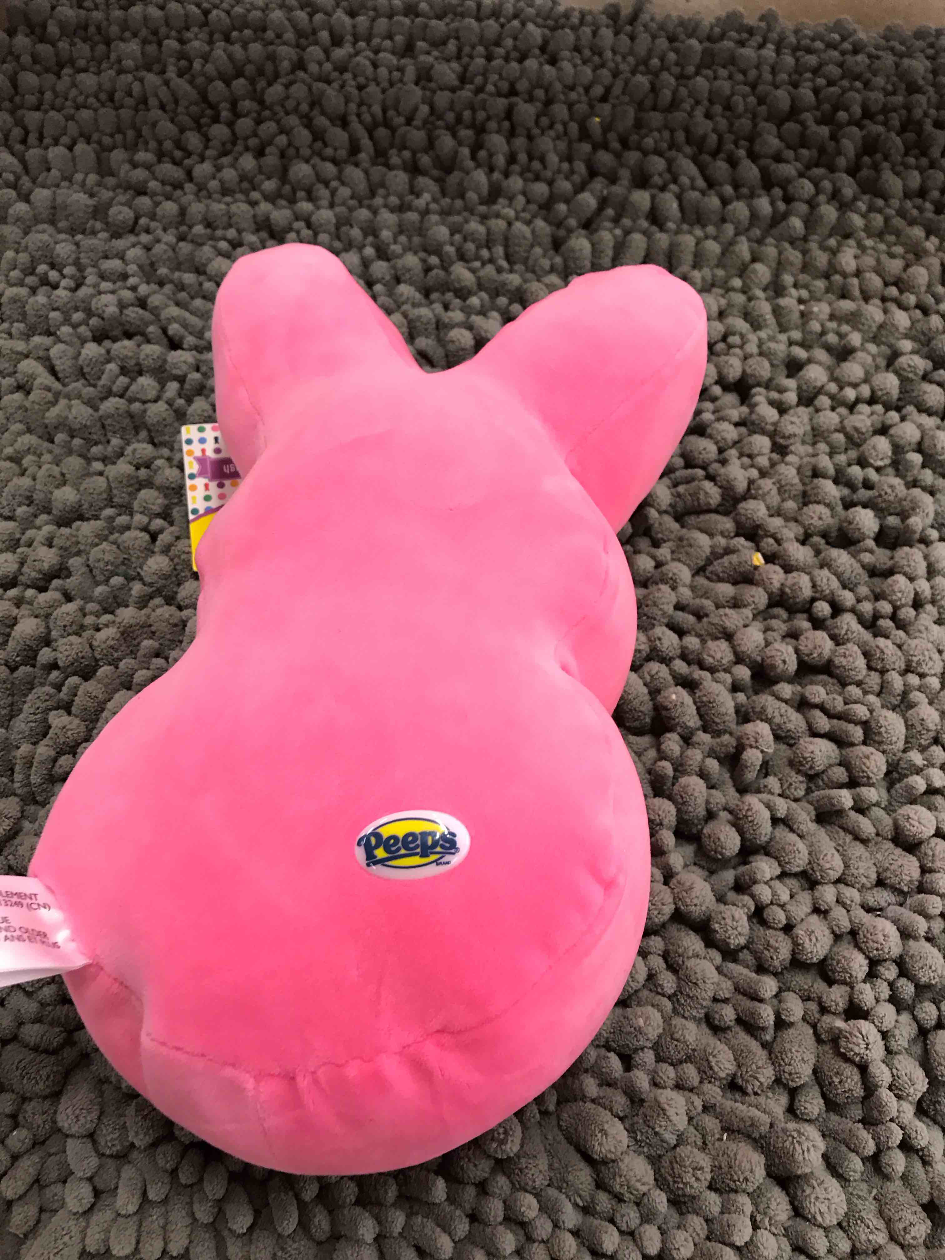 Condition photo showing New/Like New for pink peeps plushie