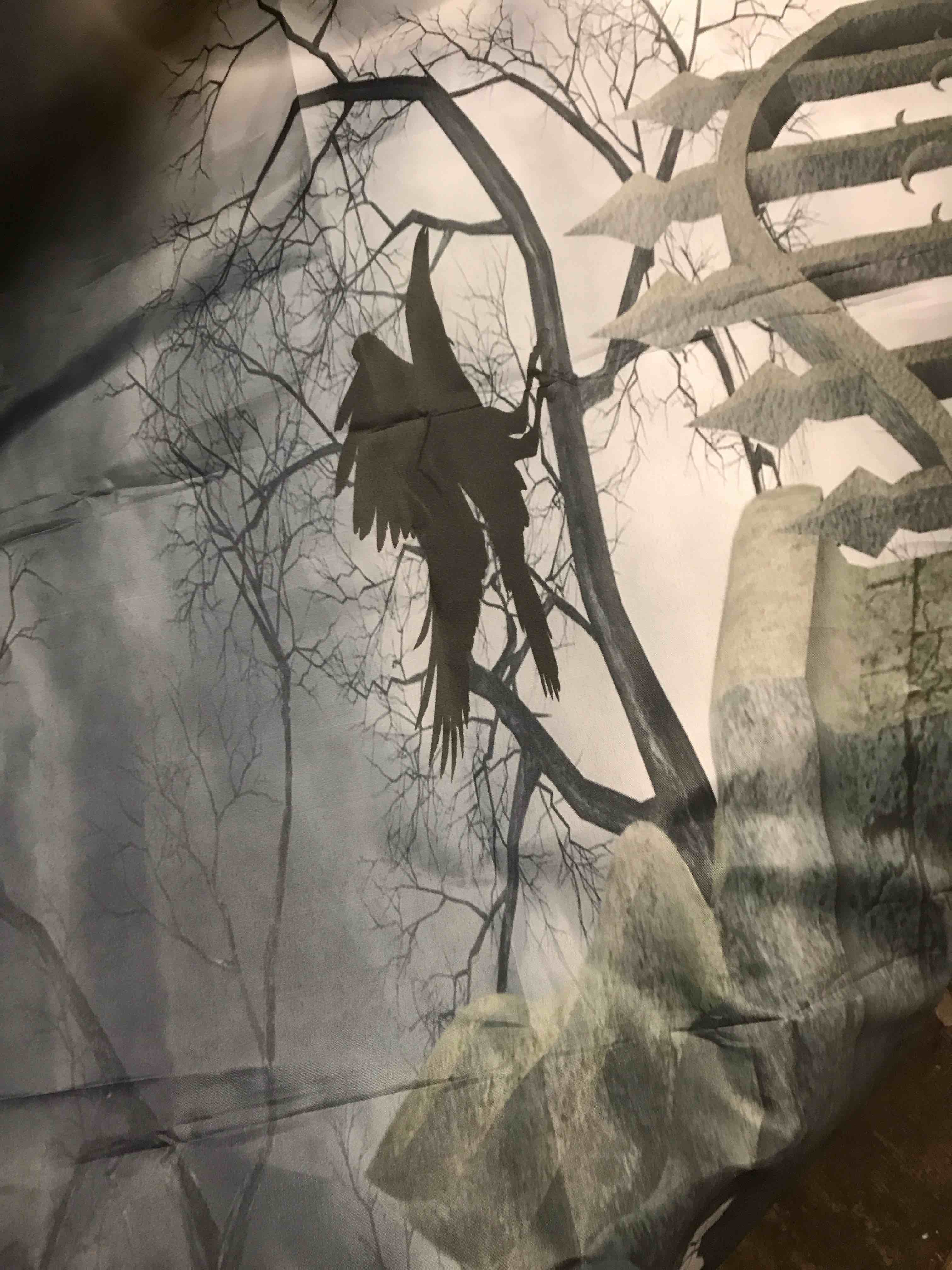 Backdrop for Halloween Pictures