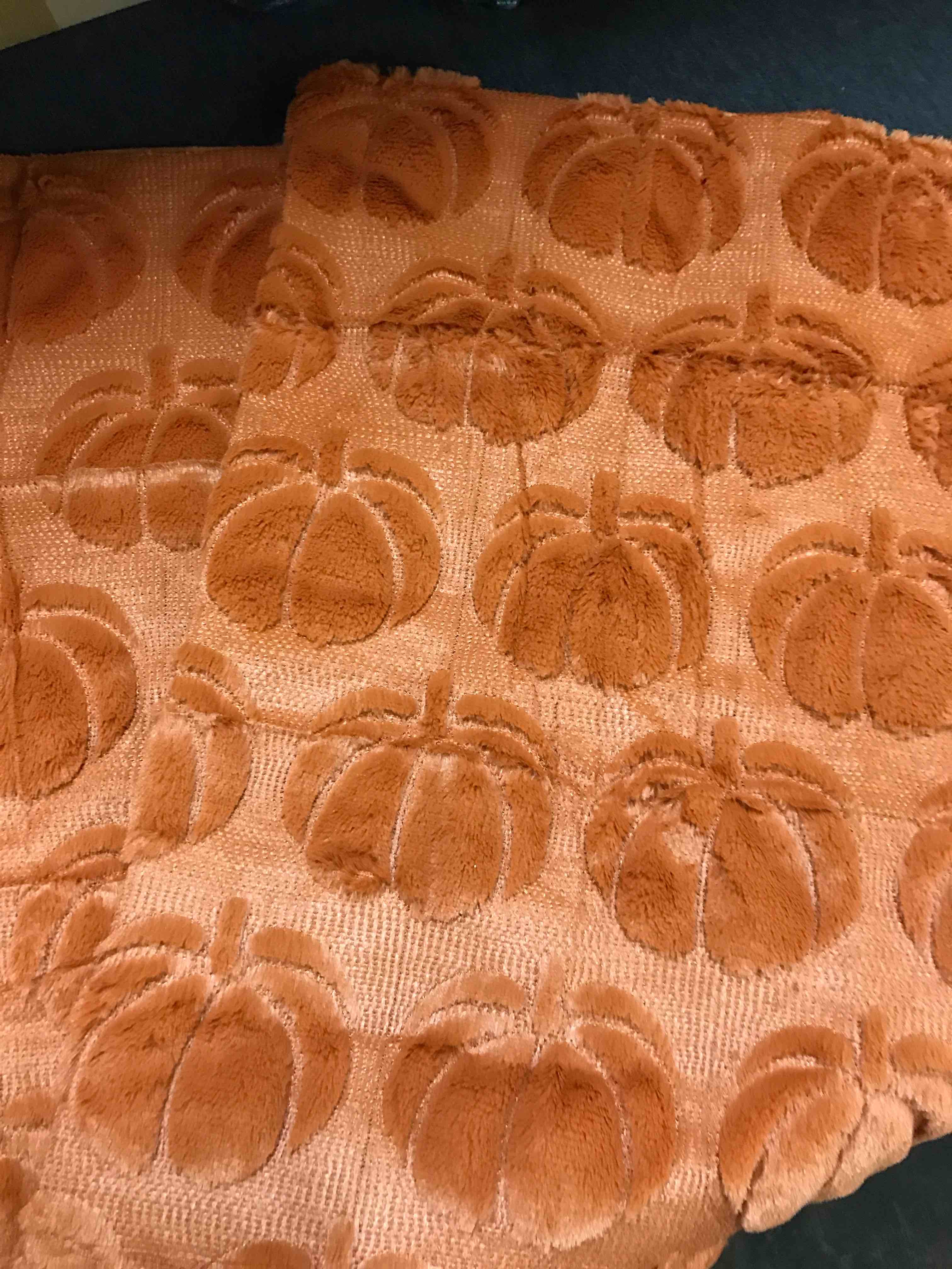 Pillow Covers set of 2