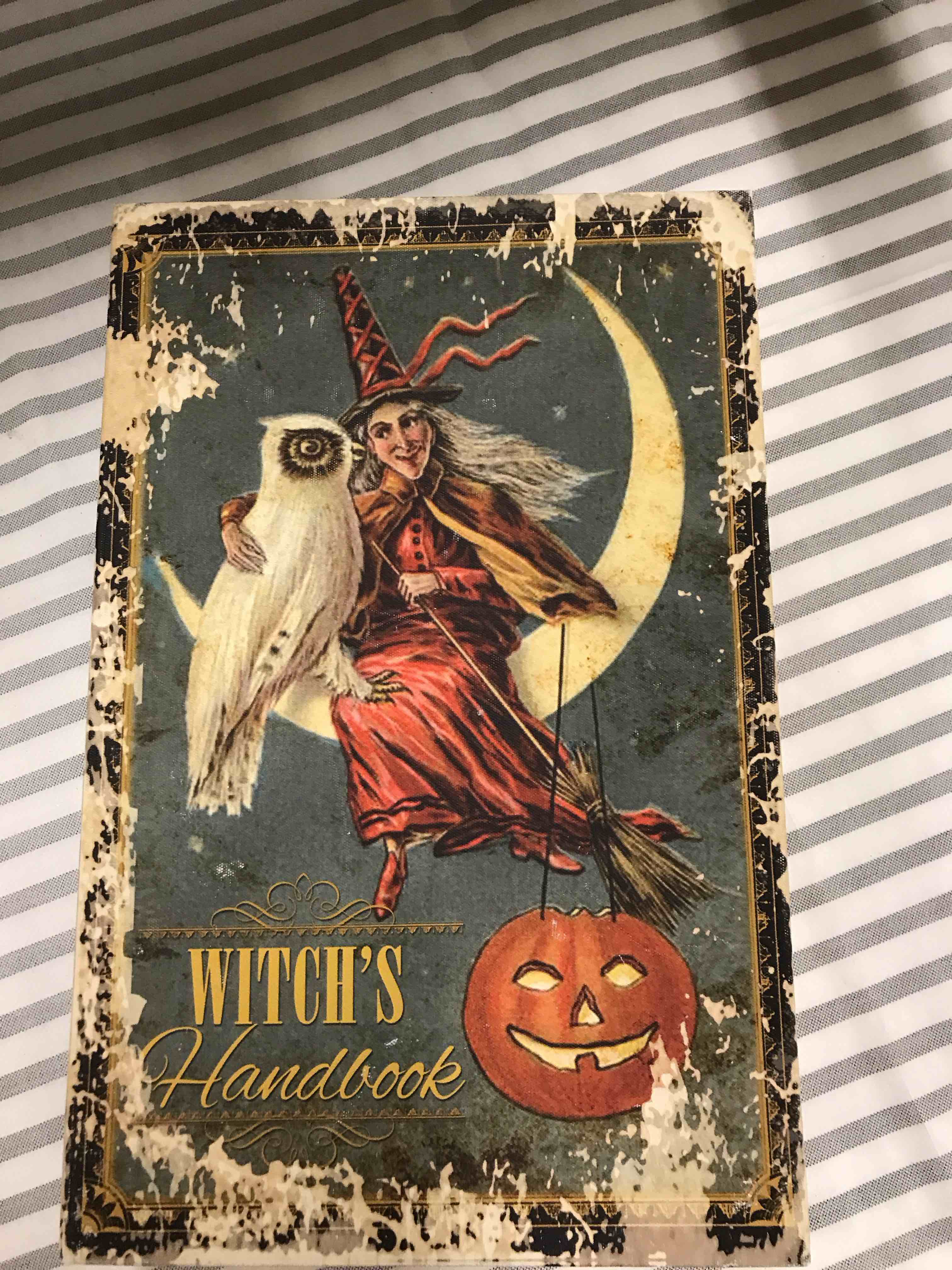 Witch’s Handbook Storage