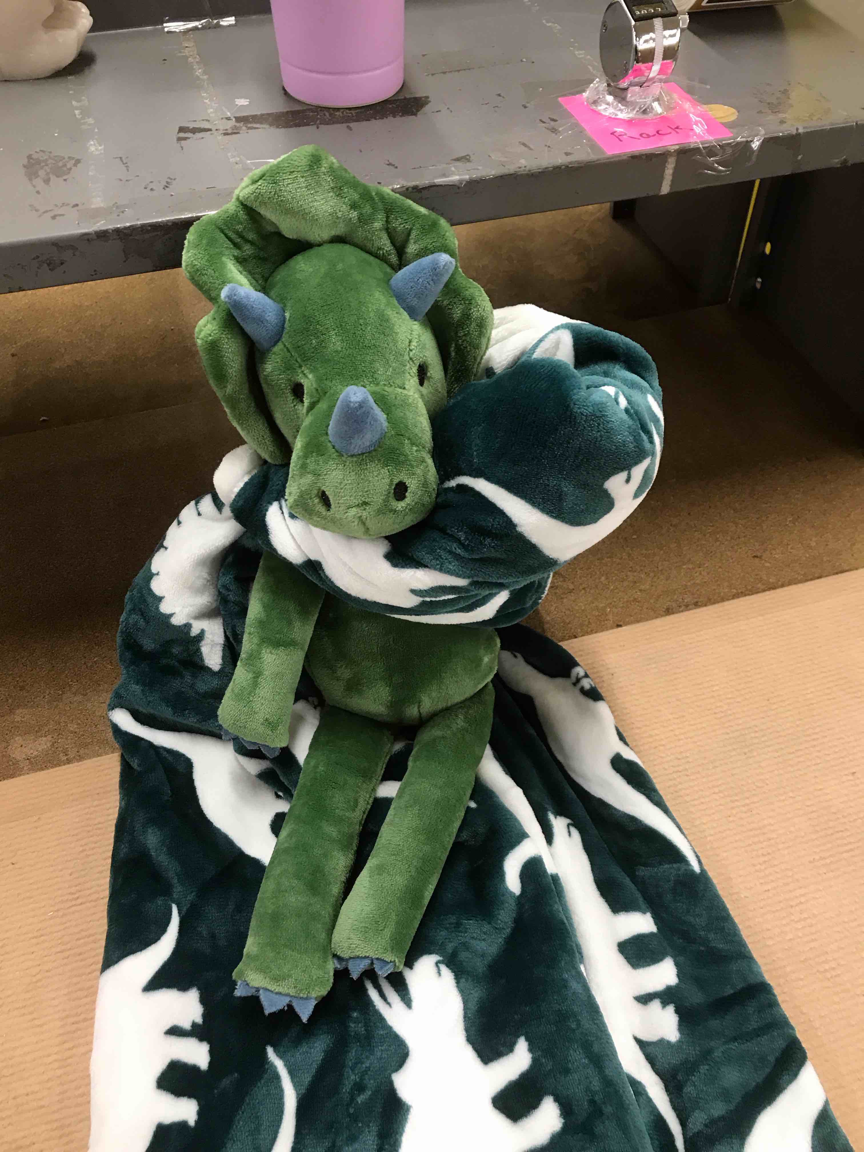 Dinosaur Blanket